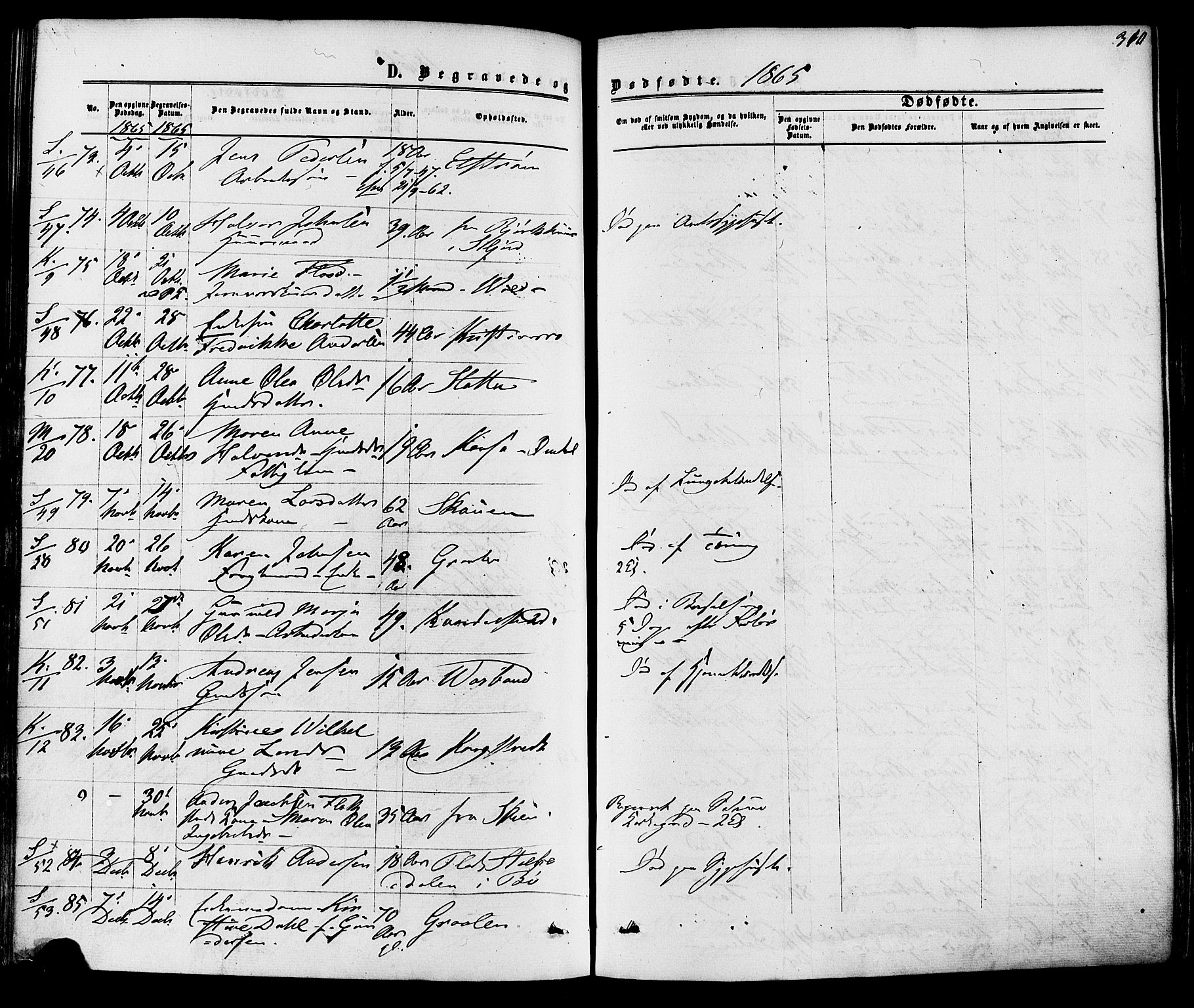 Solum kirkebøker, AV/SAKO-A-306/F/Fa/L0008: Parish register (official) no. I 8, 1865-1876, p. 310