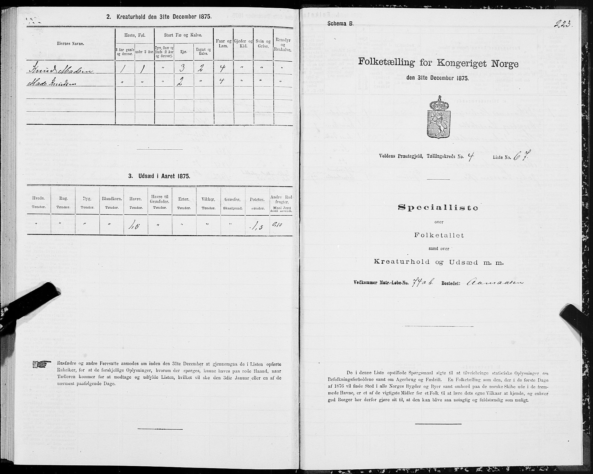 SAT, 1875 census for 1519P Volda, 1875, p. 3223