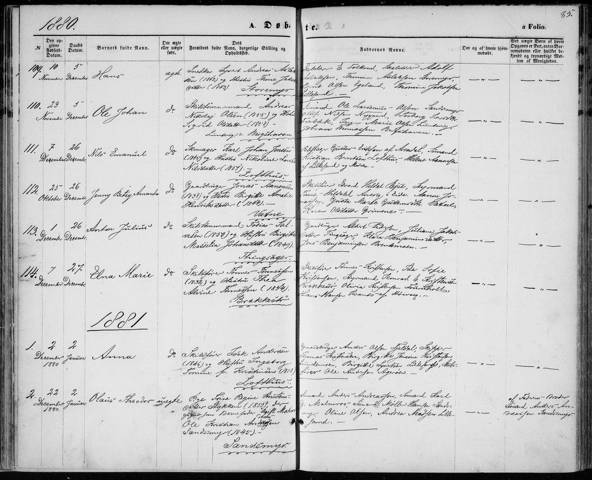 Vestre Moland sokneprestkontor, SAK/1111-0046/F/Fa/Fab/L0008: Parish register (official) no. A 8, 1873-1883, p. 85
