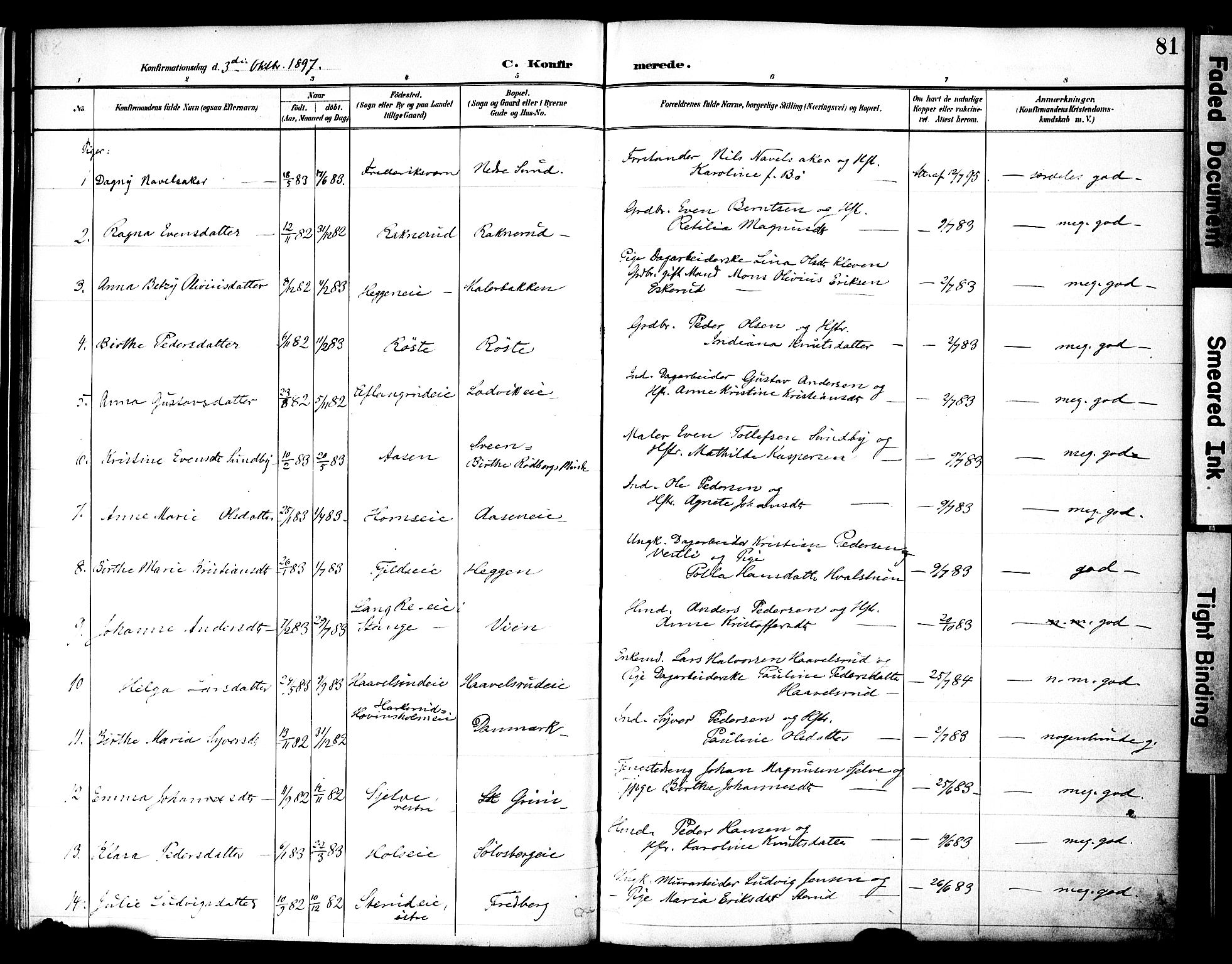 Nes prestekontor, Hedmark, SAH/PREST-020/K/Ka/L0010: Parish register (official) no. 10, 1887-1905, p. 81