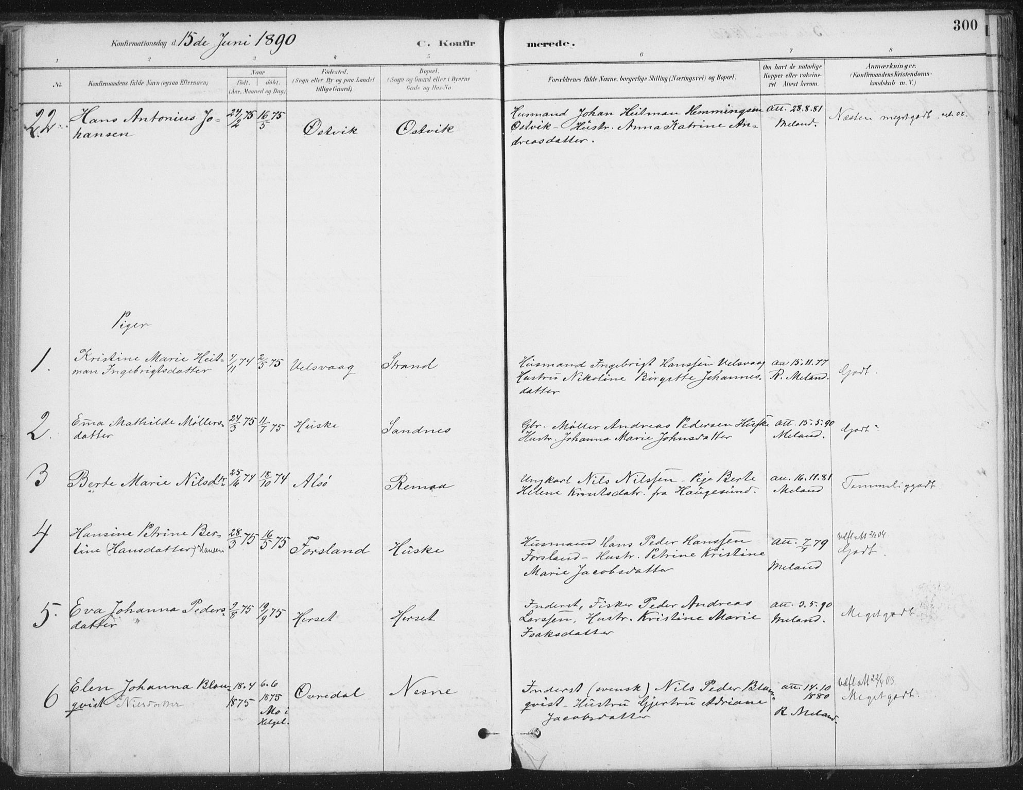 Ministerialprotokoller, klokkerbøker og fødselsregistre - Nordland, AV/SAT-A-1459/838/L0552: Parish register (official) no. 838A10, 1880-1910, p. 300