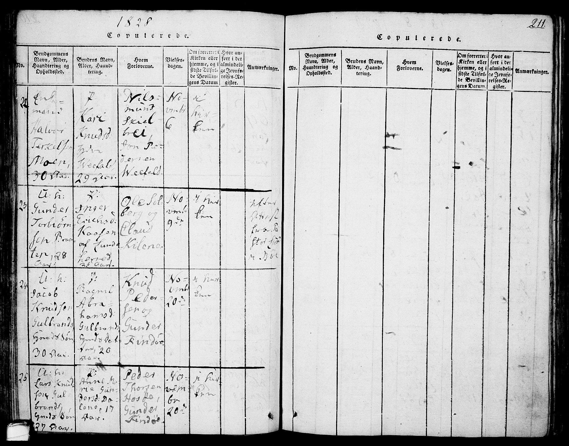 Drangedal kirkebøker, SAKO/A-258/F/Fa/L0005: Parish register (official) no. 5 /1, 1814-1831, p. 211