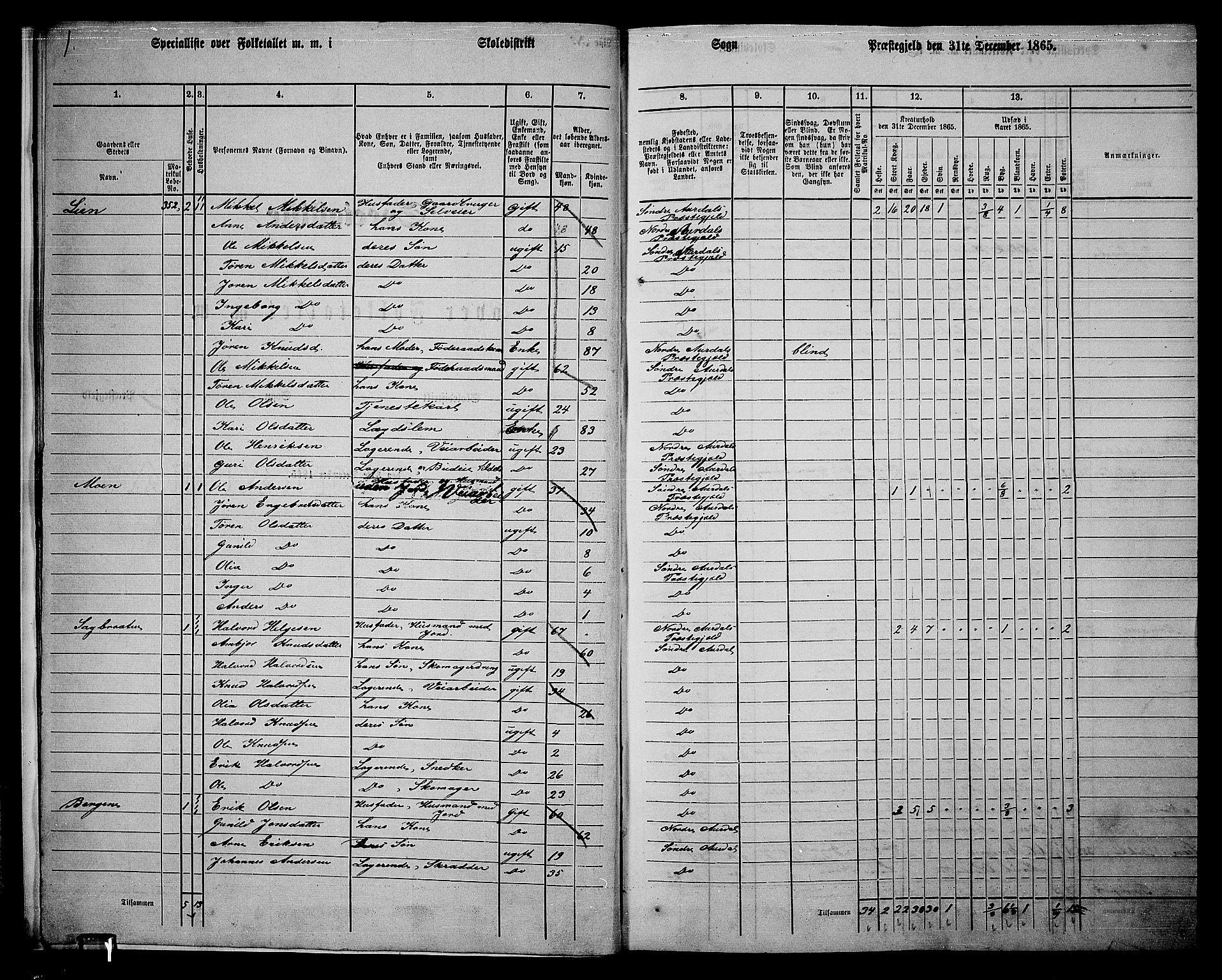 RA, 1865 census for Sør-Aurdal, 1865, p. 17