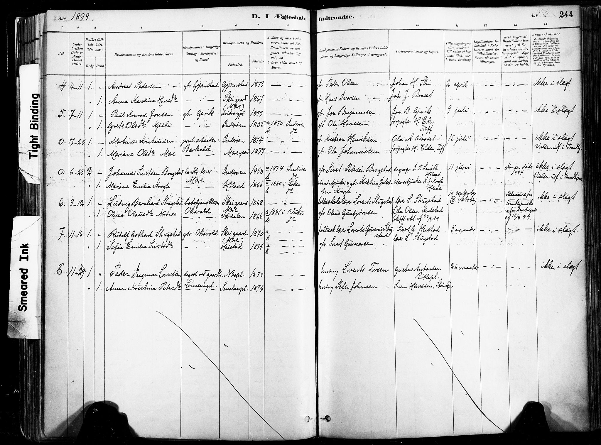 Ministerialprotokoller, klokkerbøker og fødselsregistre - Nord-Trøndelag, SAT/A-1458/735/L0351: Parish register (official) no. 735A10, 1884-1908, p. 244