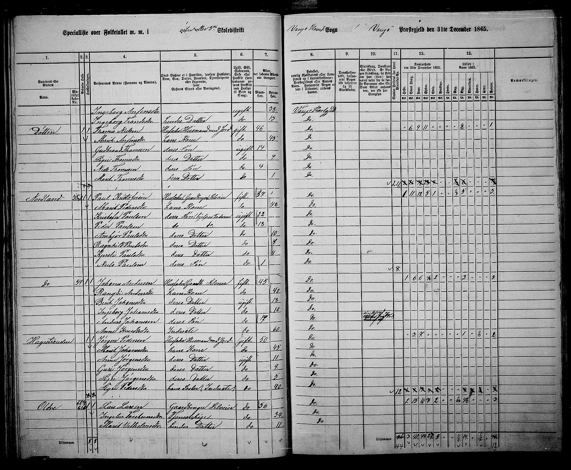 RA, 1865 census for Vang, 1865, p. 49