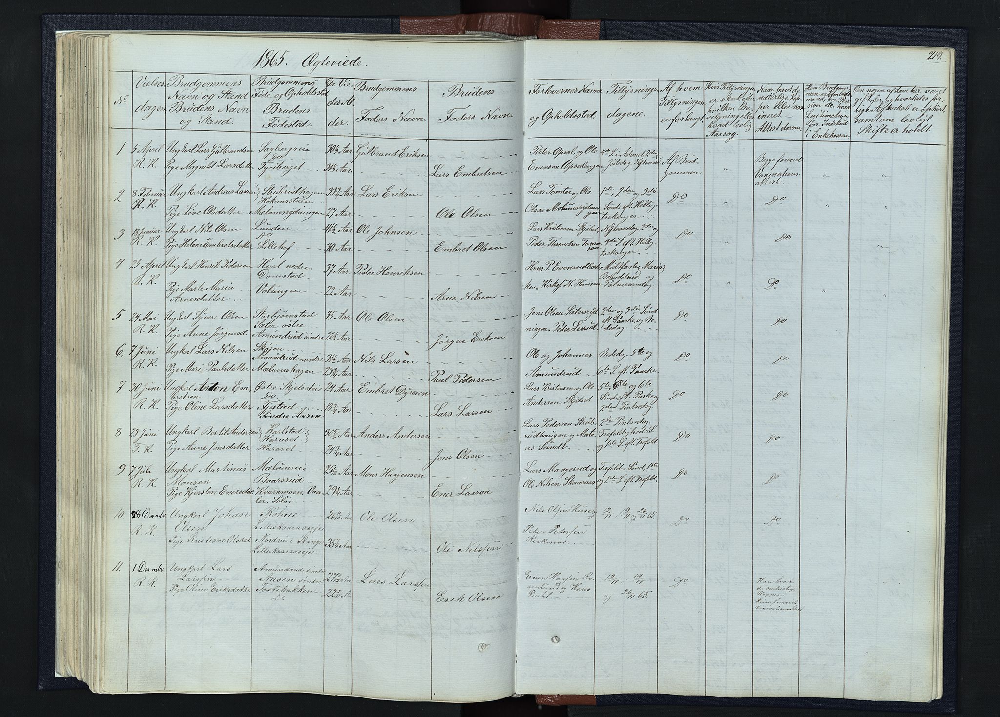 Romedal prestekontor, SAH/PREST-004/L/L0010: Parish register (copy) no. 10, 1860-1895, p. 219