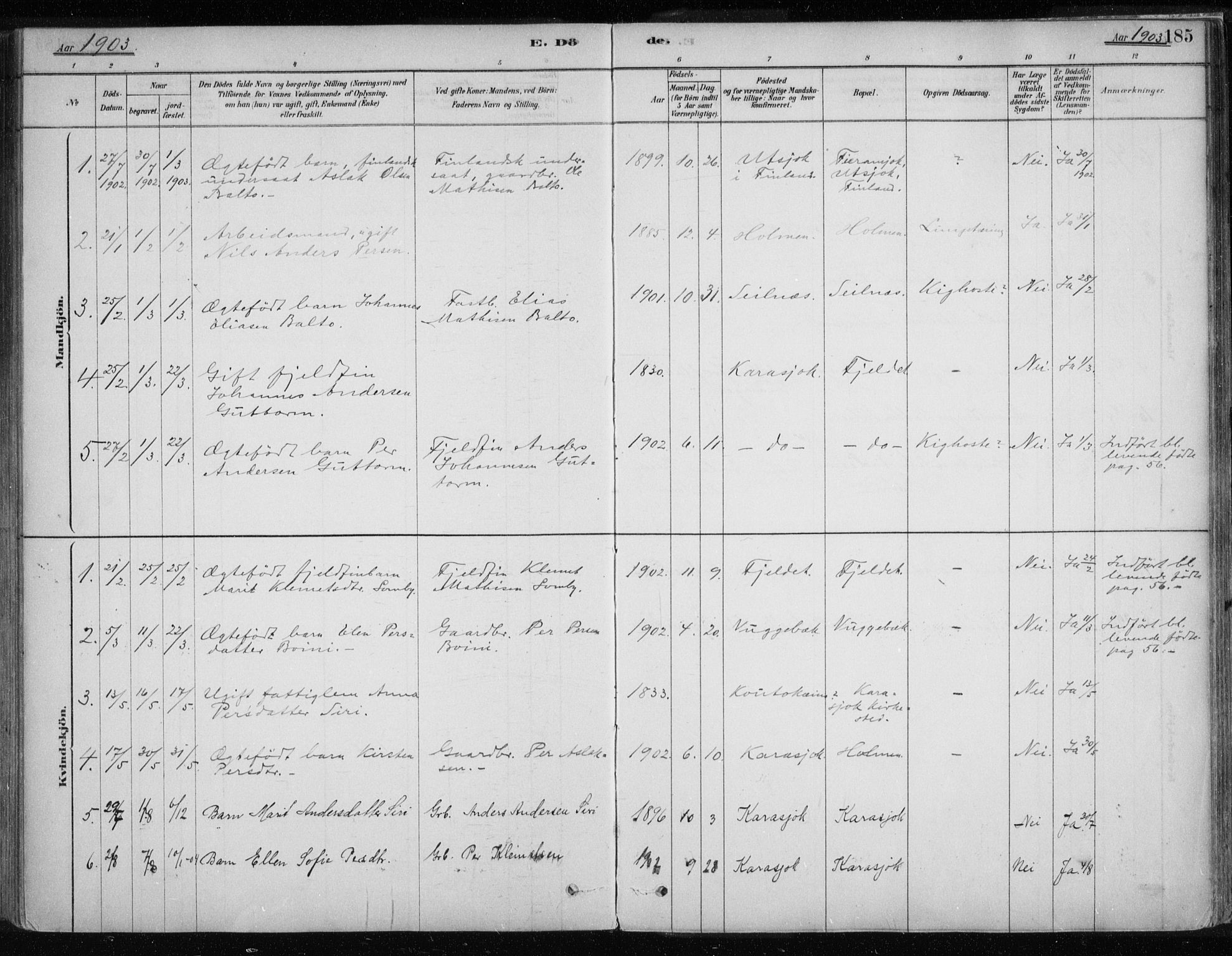 Karasjok sokneprestkontor, SATØ/S-1352/H/Ha/L0002kirke: Parish register (official) no. 2, 1885-1906, p. 185