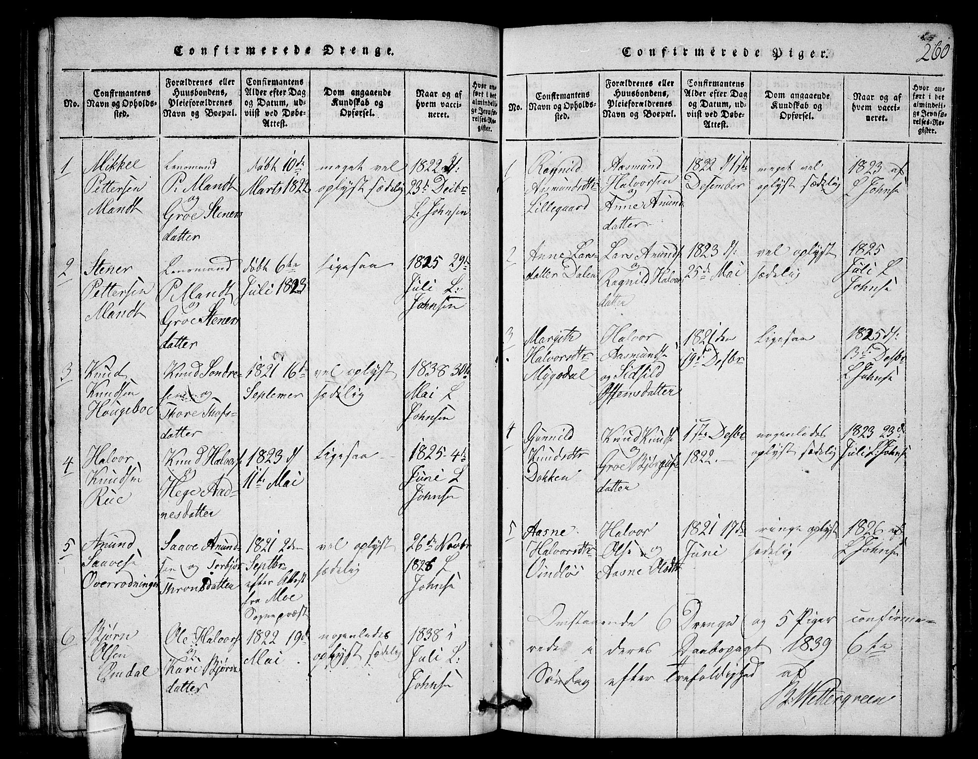 Lårdal kirkebøker, SAKO/A-284/G/Gb/L0001: Parish register (copy) no. II 1, 1815-1865, p. 260