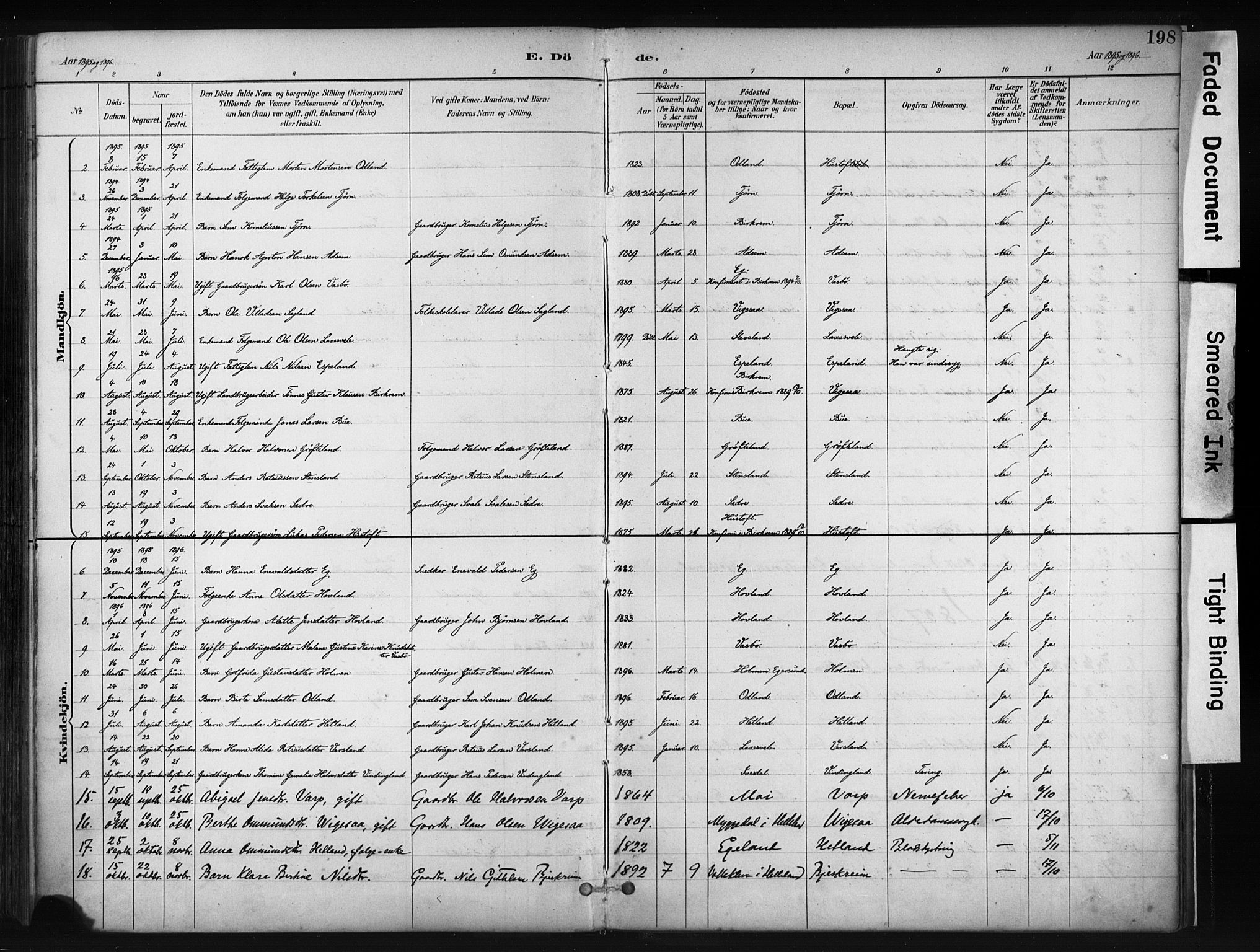 Helleland sokneprestkontor, AV/SAST-A-101810: Parish register (official) no. A 9, 1887-1908, p. 198