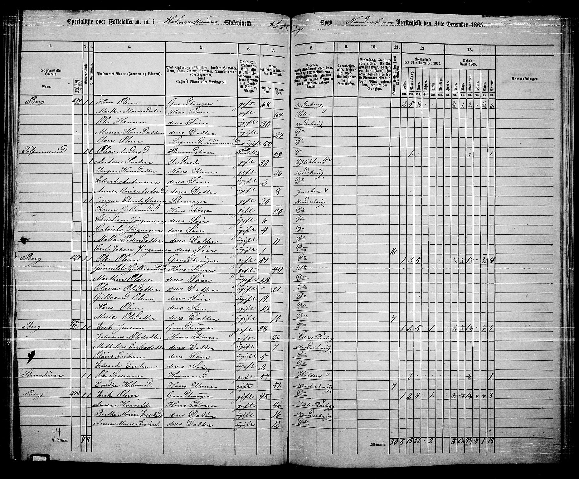 RA, 1865 census for Norderhov/Norderhov, Haug og Lunder, 1865, p. 223