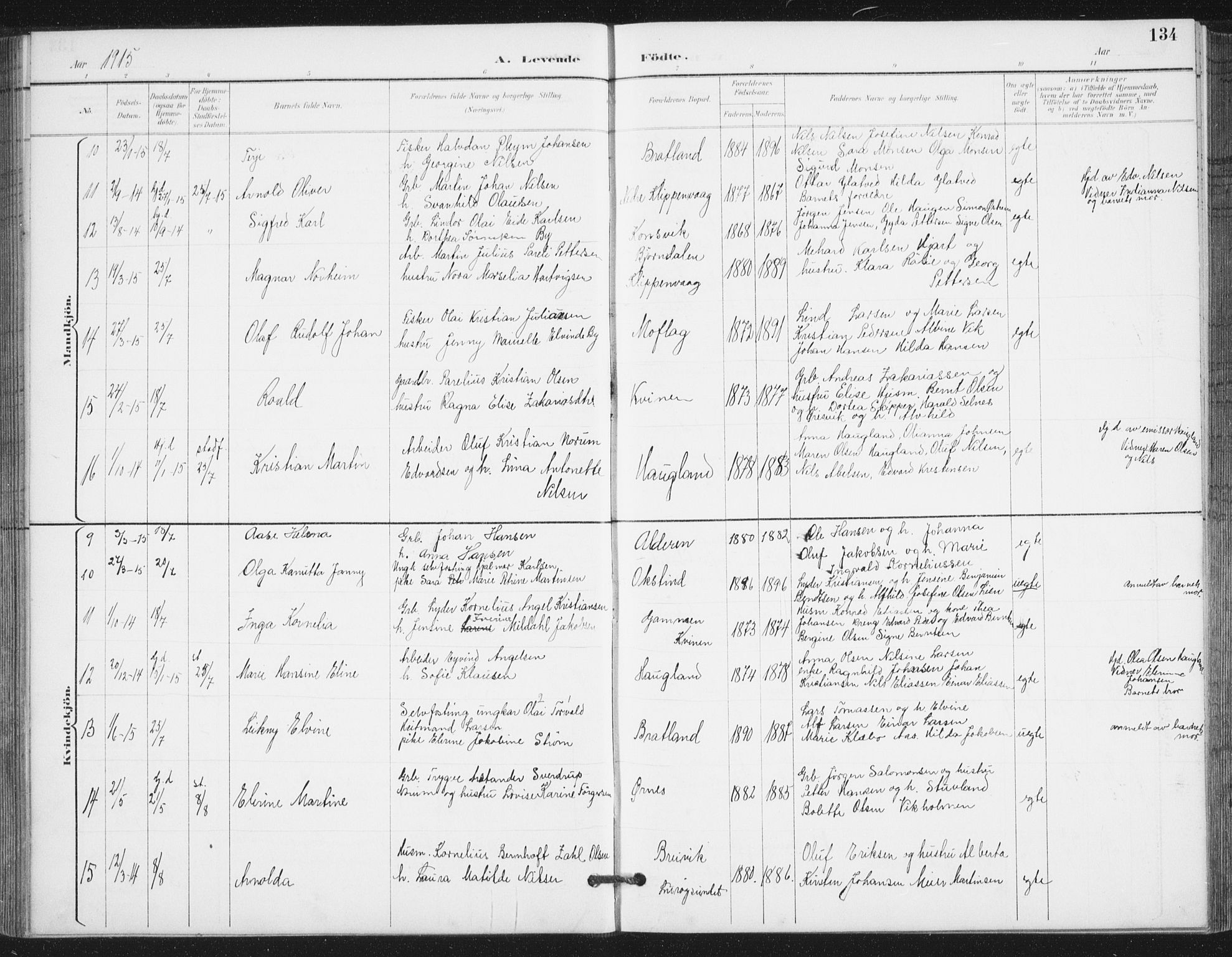 Ministerialprotokoller, klokkerbøker og fødselsregistre - Nordland, AV/SAT-A-1459/839/L0573: Parish register (copy) no. 839C03, 1892-1917, p. 134