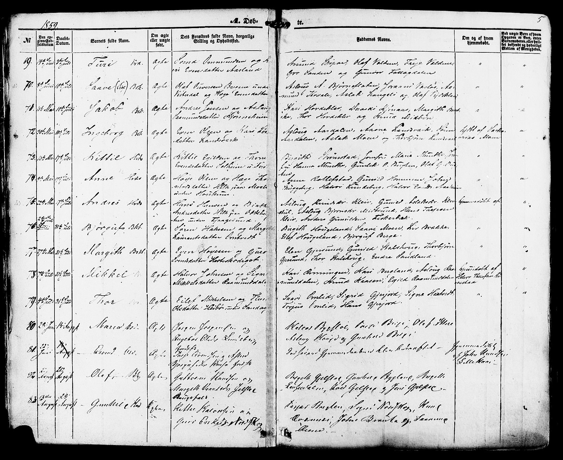 Kviteseid kirkebøker, AV/SAKO-A-276/F/Fa/L0007: Parish register (official) no. I 7, 1859-1881, p. 5