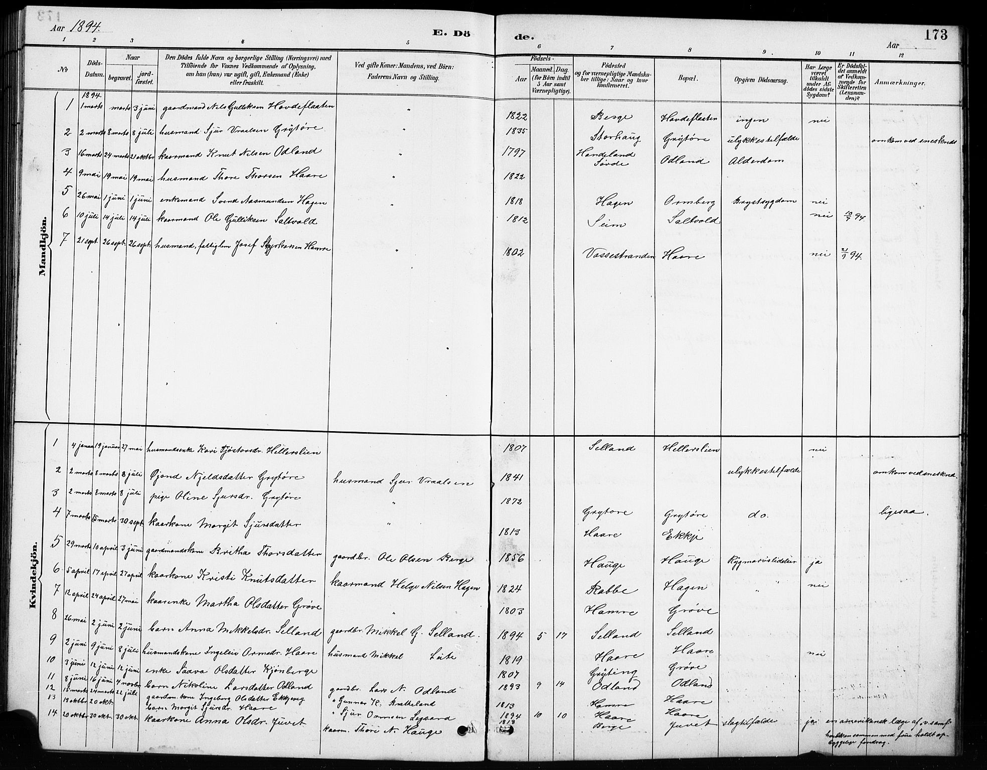 Røldal sokneprestembete, SAB/A-100247: Parish register (copy) no. A 3, 1887-1917, p. 173