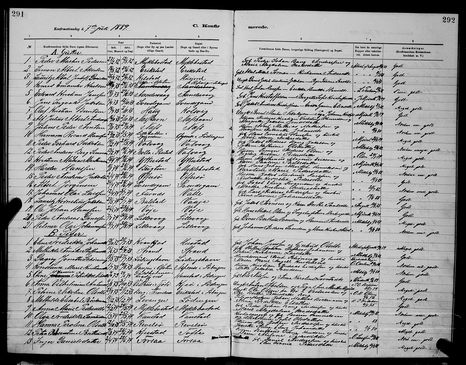 Ministerialprotokoller, klokkerbøker og fødselsregistre - Nordland, AV/SAT-A-1459/872/L1047: Parish register (copy) no. 872C03, 1880-1897, p. 291-292