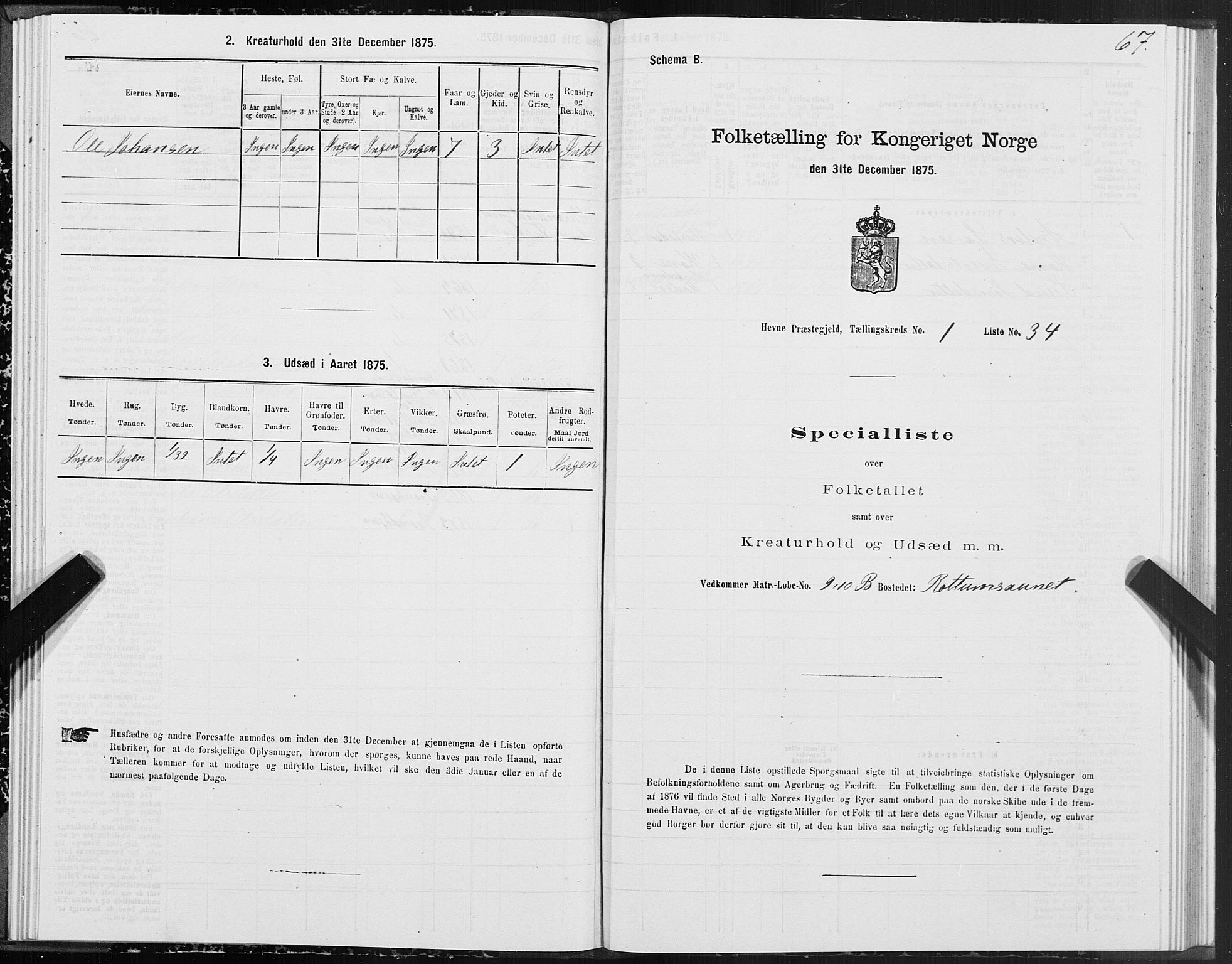 SAT, 1875 census for 1612P Hemne, 1875, p. 1067