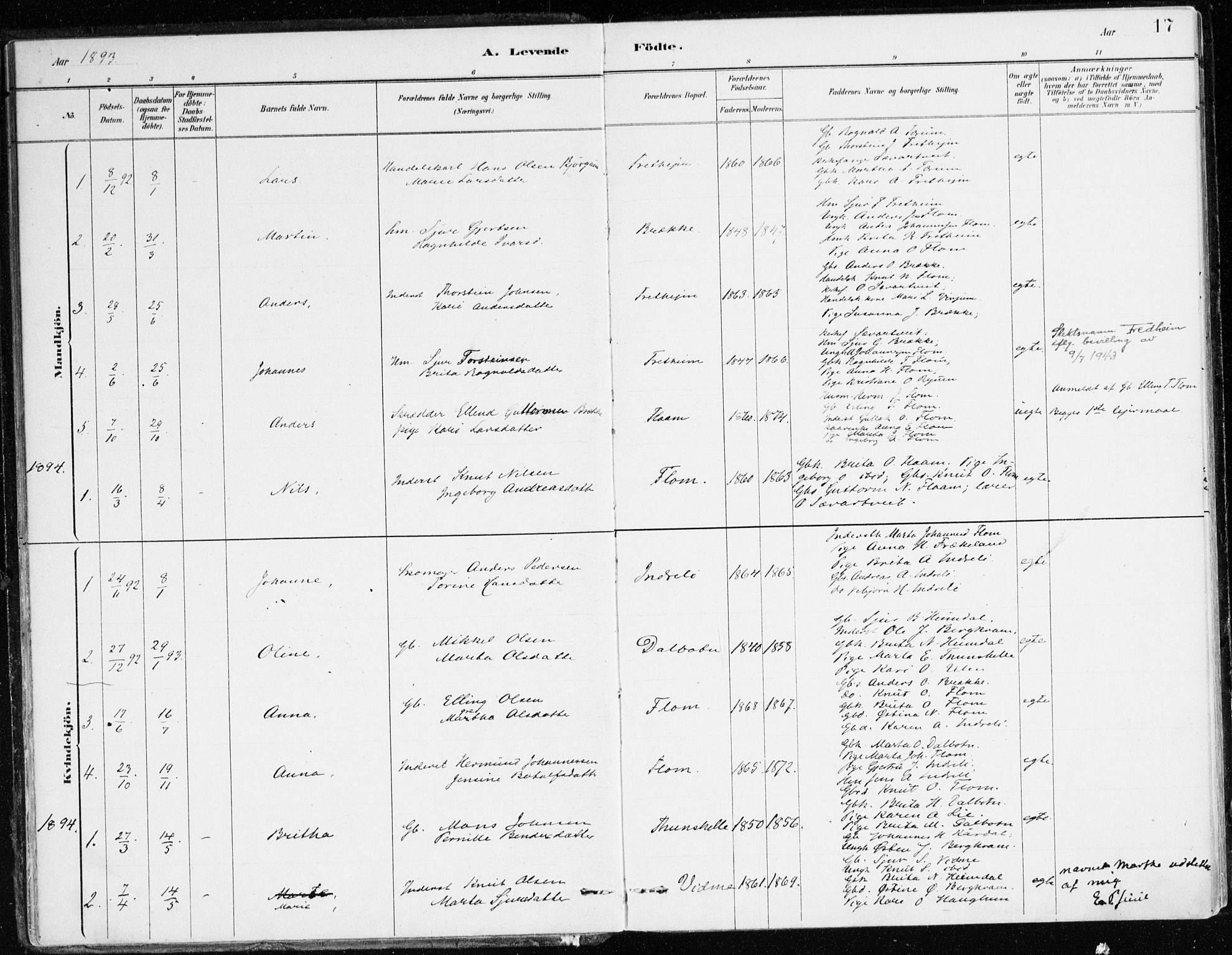 Aurland sokneprestembete, AV/SAB-A-99937/H/Ha/Hac/L0001: Parish register (official) no. C 1, 1880-1921, p. 17