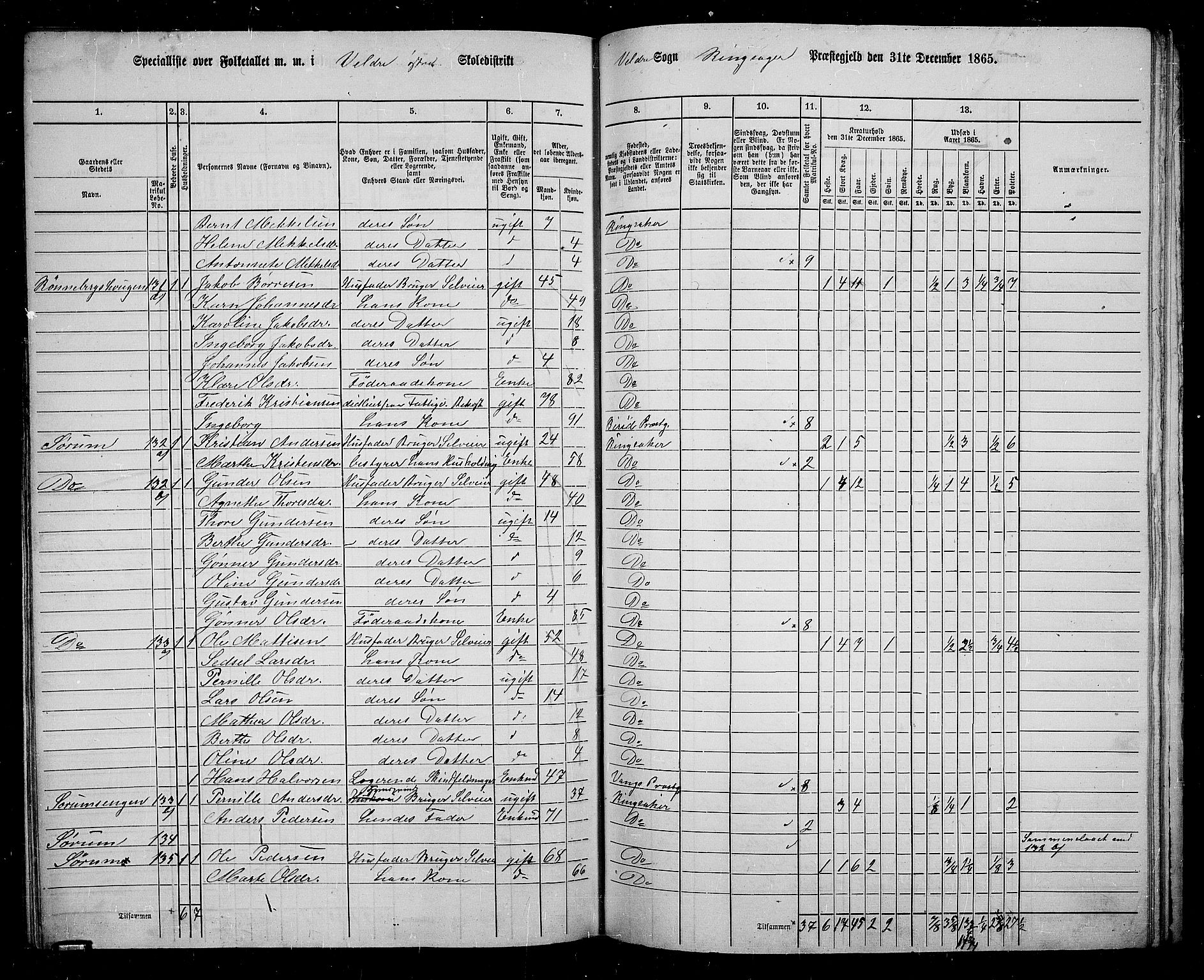 RA, 1865 census for Ringsaker, 1865, p. 197