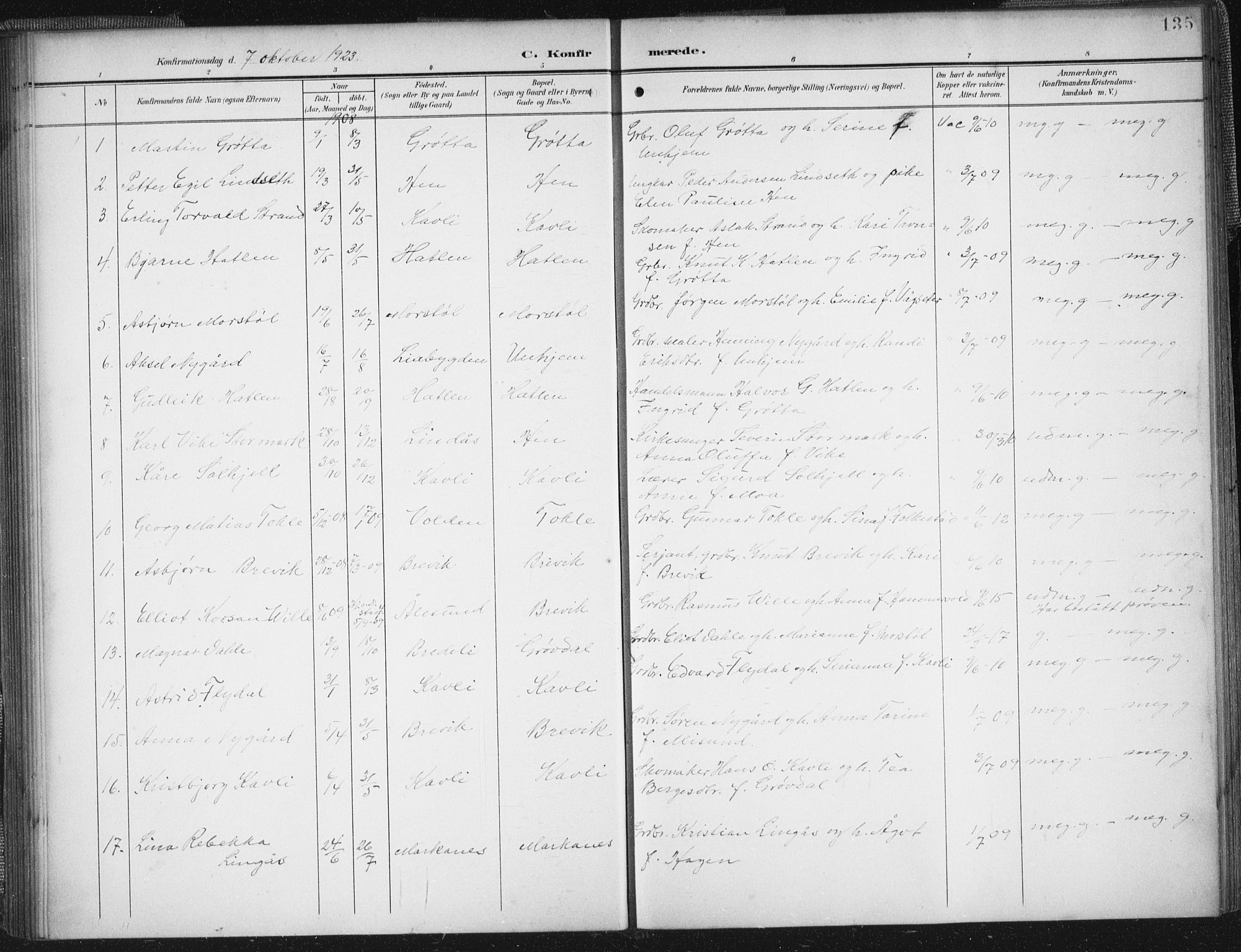 Ministerialprotokoller, klokkerbøker og fødselsregistre - Møre og Romsdal, SAT/A-1454/545/L0589: Parish register (copy) no. 545C03, 1902-1937, p. 135