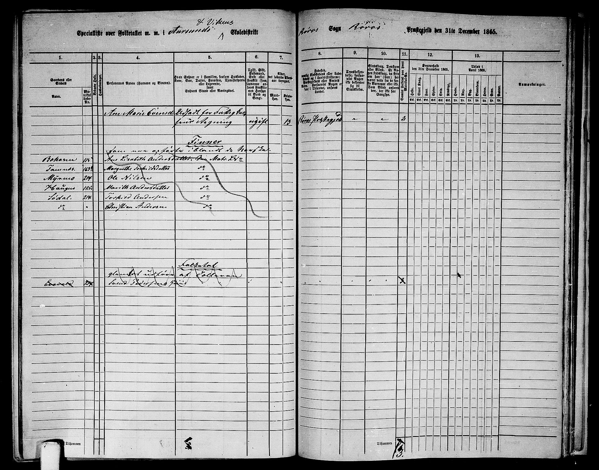 RA, 1865 census for Røros, 1865, p. 134