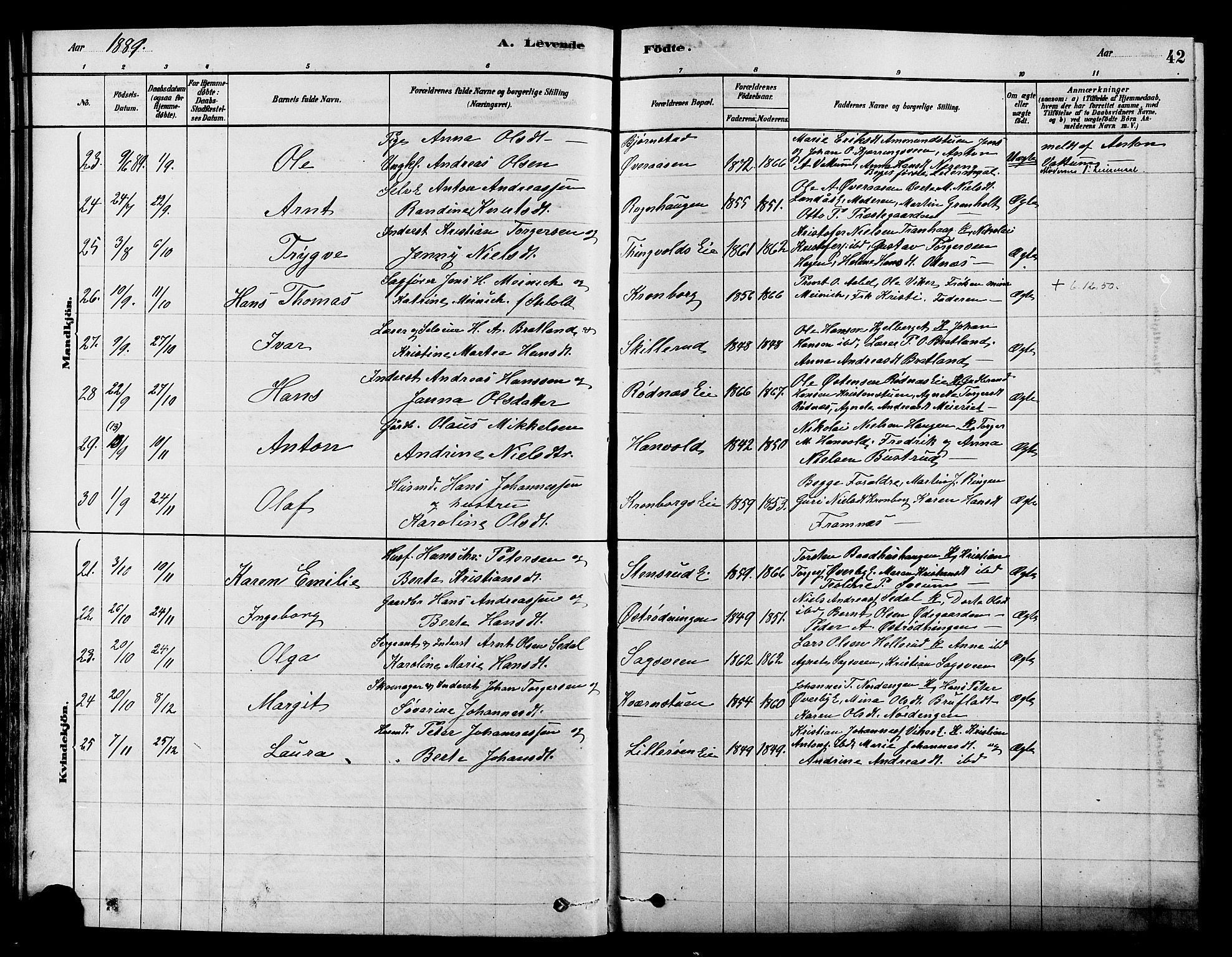 Søndre Land prestekontor, AV/SAH-PREST-122/K/L0002: Parish register (official) no. 2, 1878-1894, p. 42