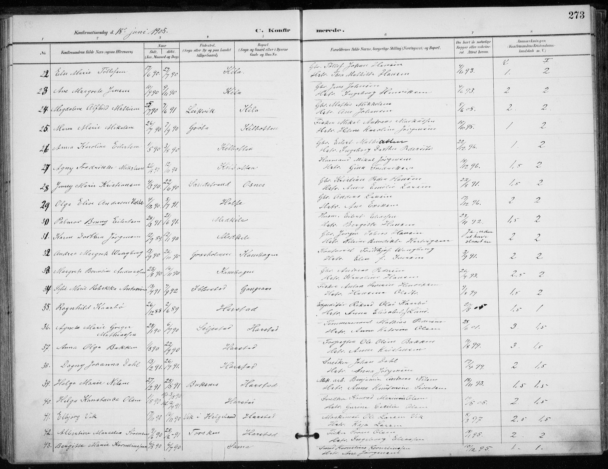 Trondenes sokneprestkontor, AV/SATØ-S-1319/H/Ha/L0017kirke: Parish register (official) no. 17, 1899-1908, p. 273
