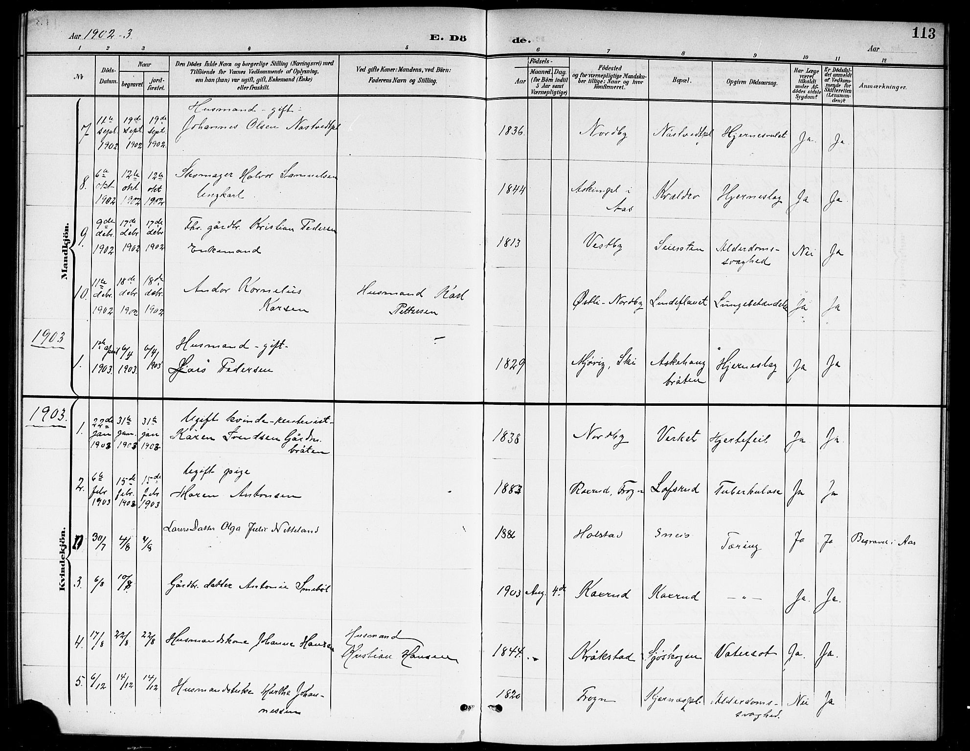 Ås prestekontor Kirkebøker, AV/SAO-A-10894/G/Gb/L0001: Parish register (copy) no. II 1, 1901-1920, p. 113