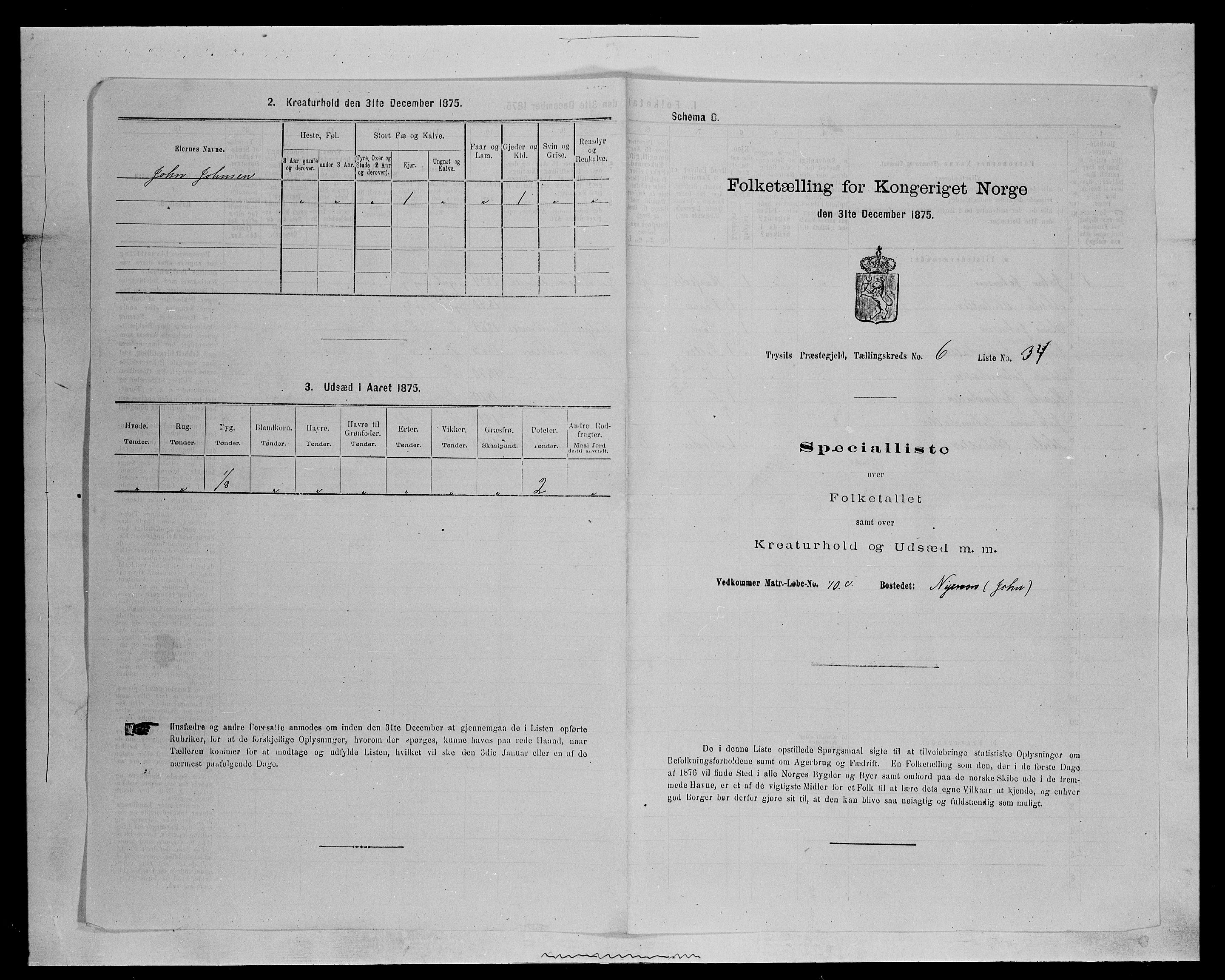 SAH, 1875 census for 0428P Trysil, 1875, p. 787