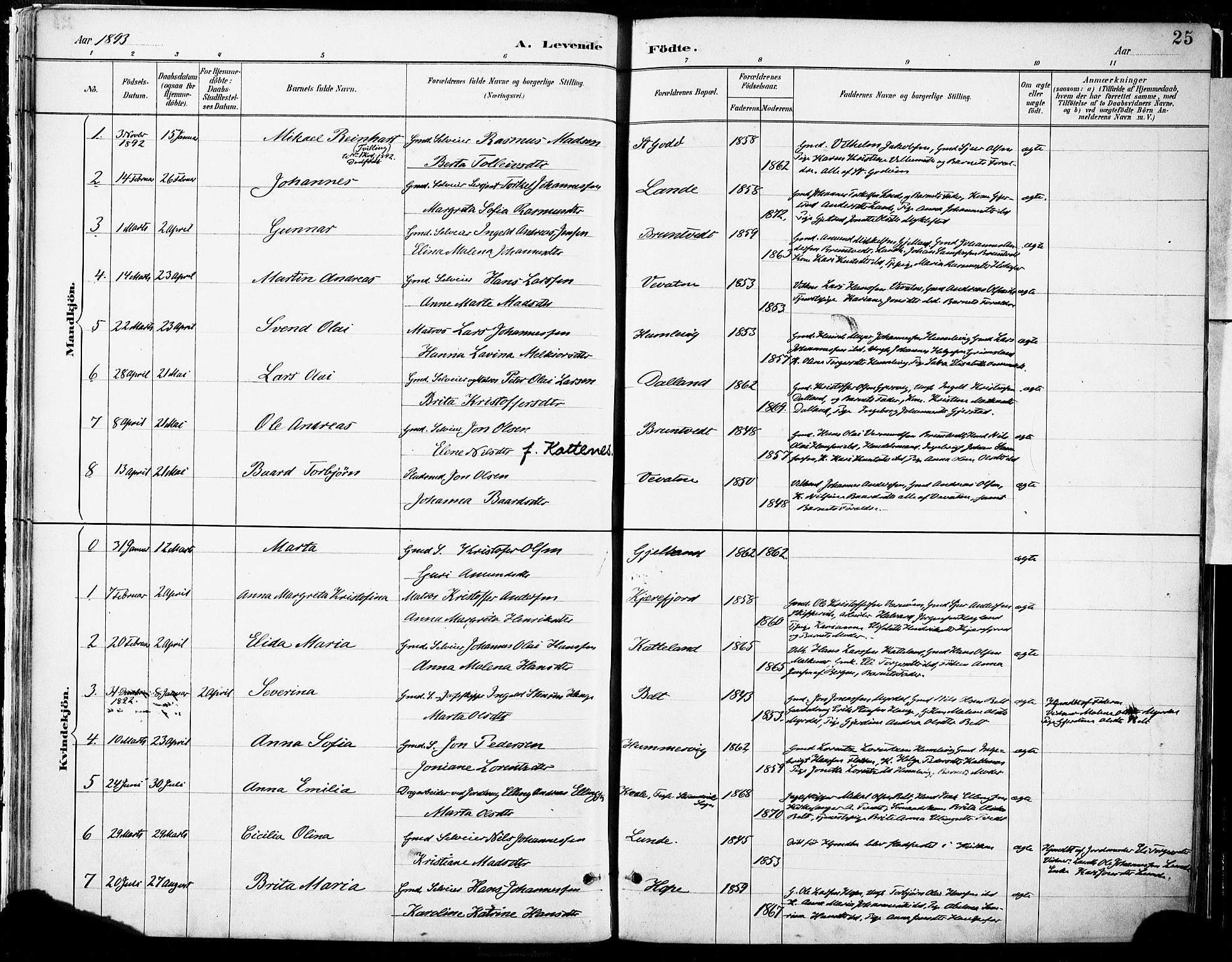 Tysnes sokneprestembete, SAB/A-78601/H/Haa: Parish register (official) no. B 1, 1887-1906, p. 25