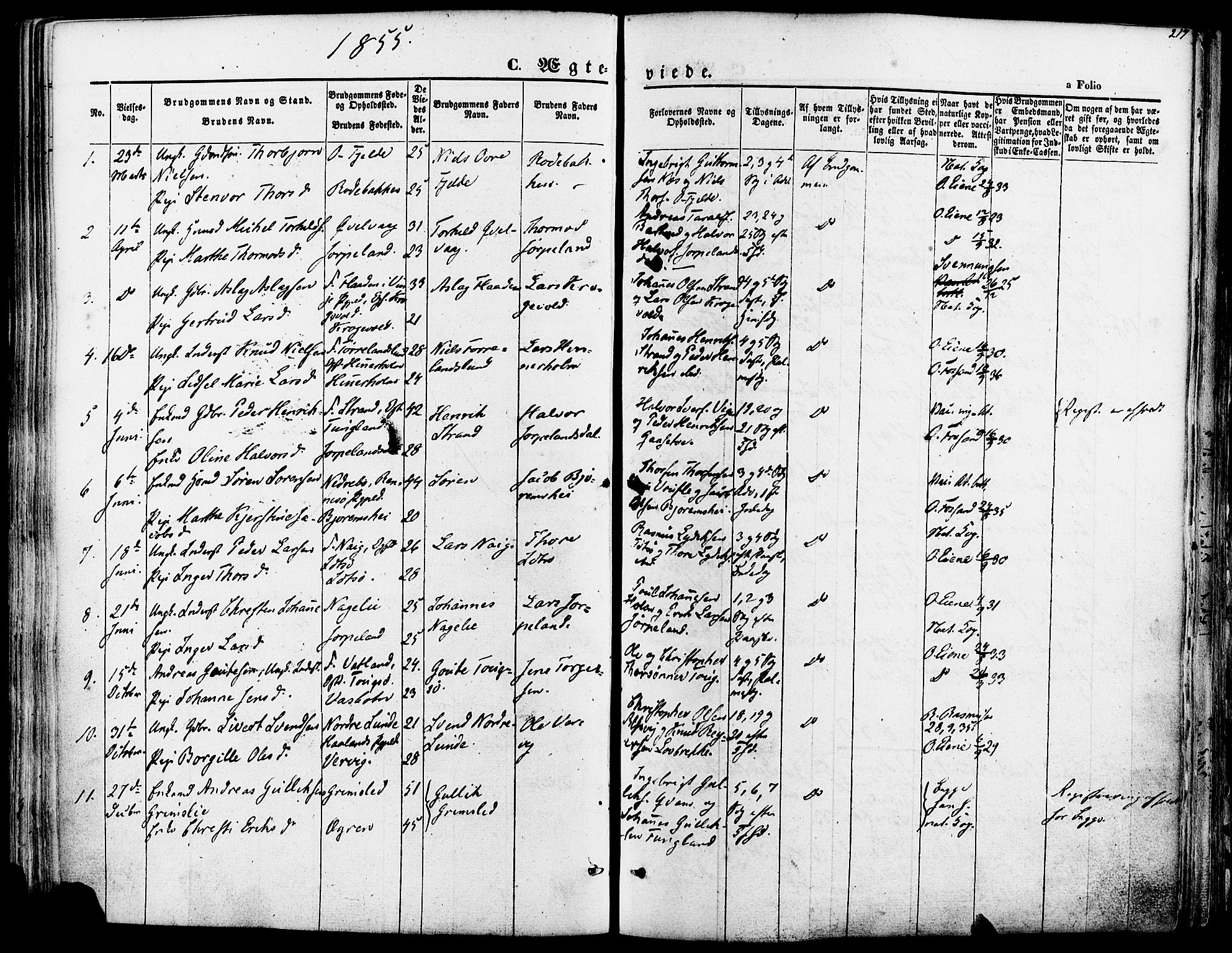 Strand sokneprestkontor, SAST/A-101828/H/Ha/Haa/L0007: Parish register (official) no. A 7, 1855-1881, p. 217