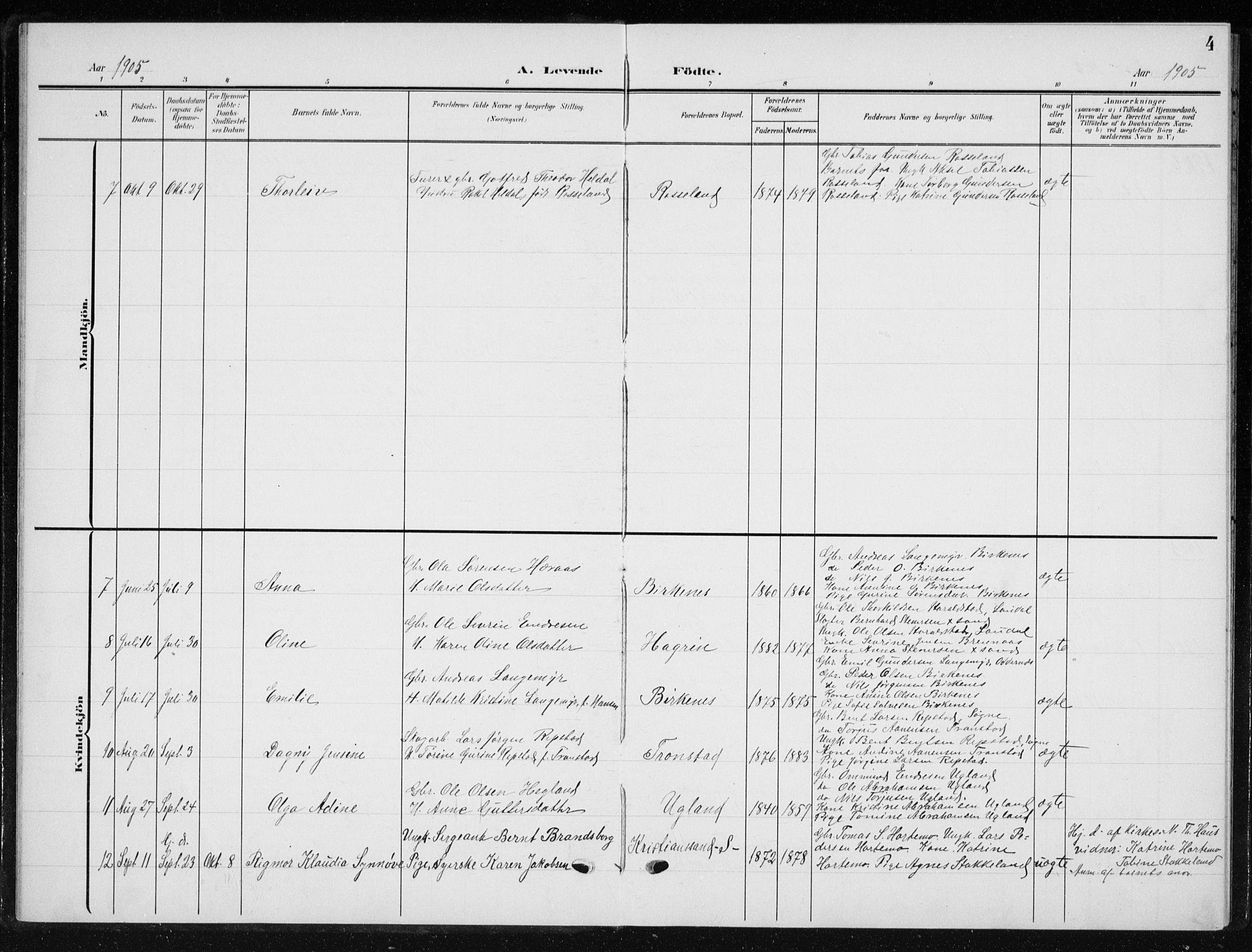 Søgne sokneprestkontor, AV/SAK-1111-0037/F/Fb/Fba/L0005: Parish register (copy) no. B 5, 1904-1936, p. 4