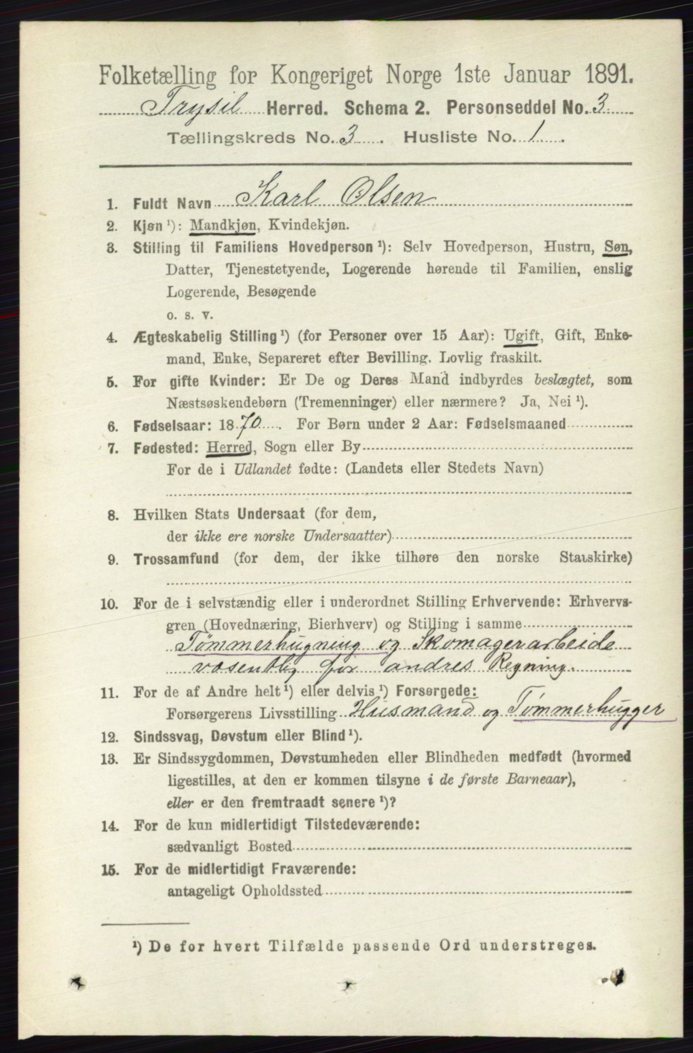 RA, 1891 census for 0428 Trysil, 1891, p. 1325