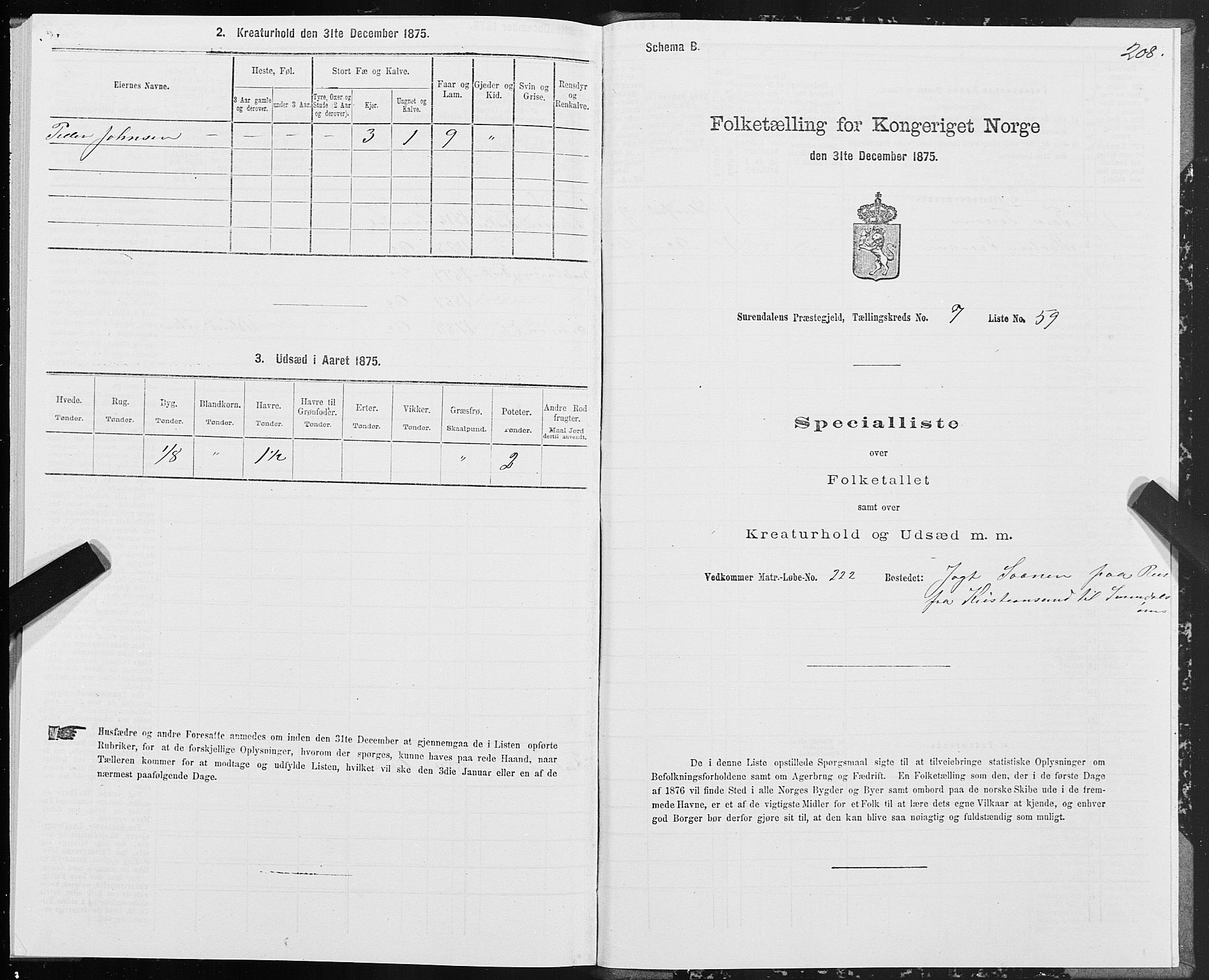 SAT, 1875 census for 1566P Surnadal, 1875, p. 3208