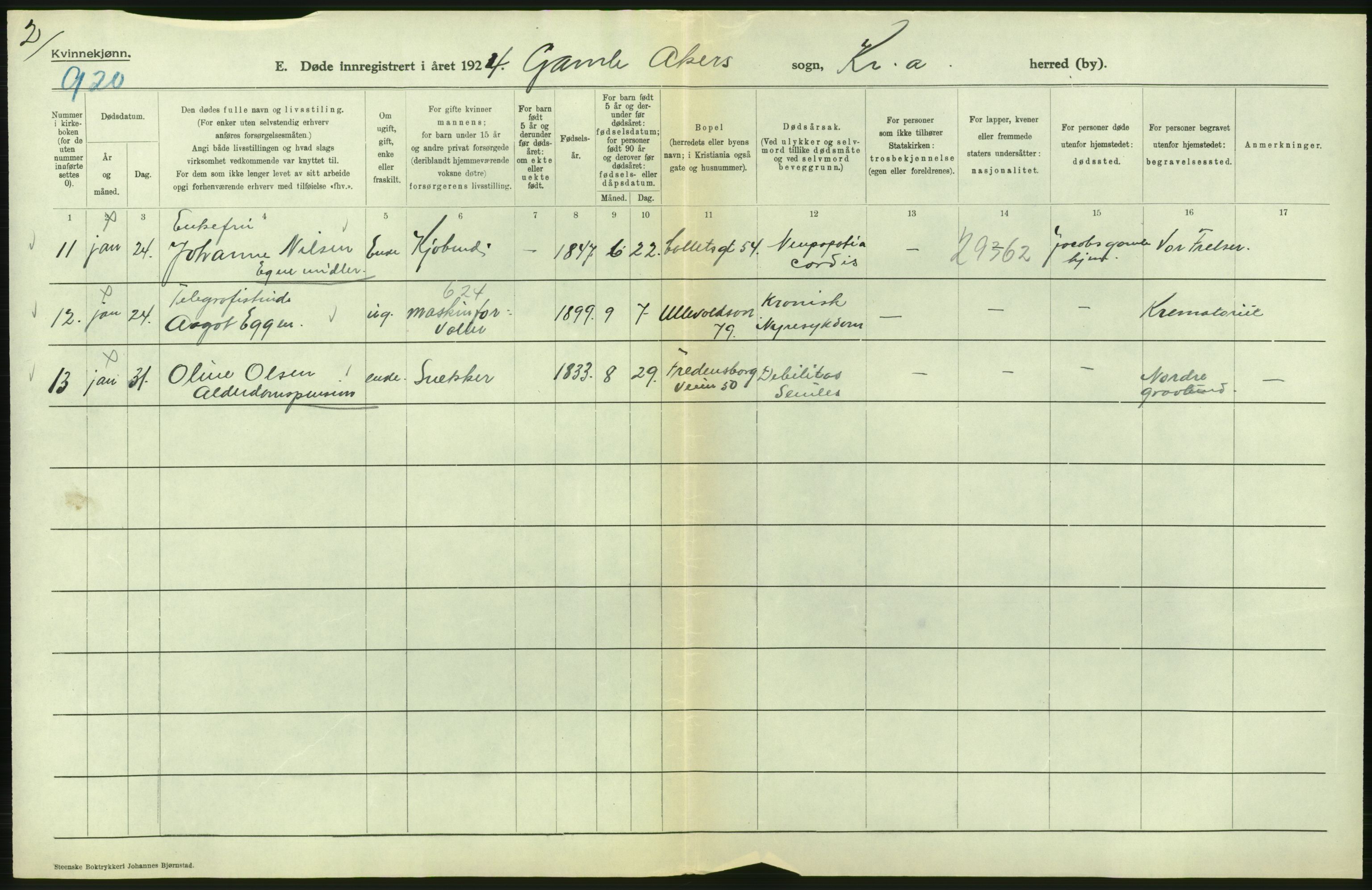 Statistisk sentralbyrå, Sosiodemografiske emner, Befolkning, AV/RA-S-2228/D/Df/Dfc/Dfcd/L0009: Kristiania: Døde kvinner, dødfødte, 1924, p. 192