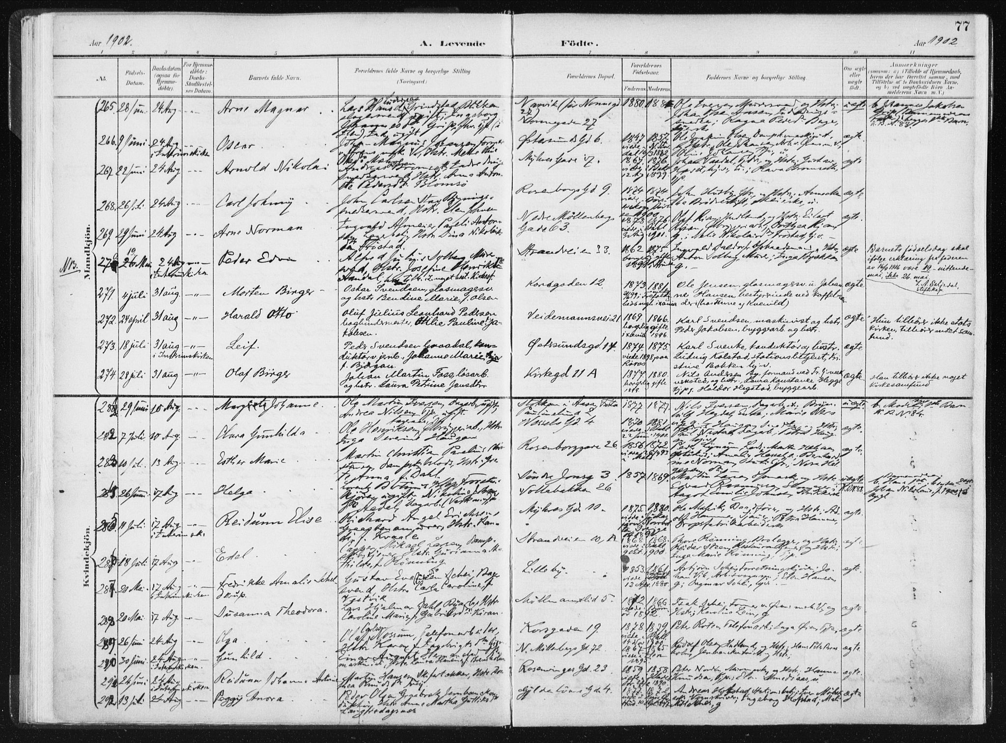 Ministerialprotokoller, klokkerbøker og fødselsregistre - Sør-Trøndelag, SAT/A-1456/604/L0199: Parish register (official) no. 604A20I, 1901-1906, p. 77
