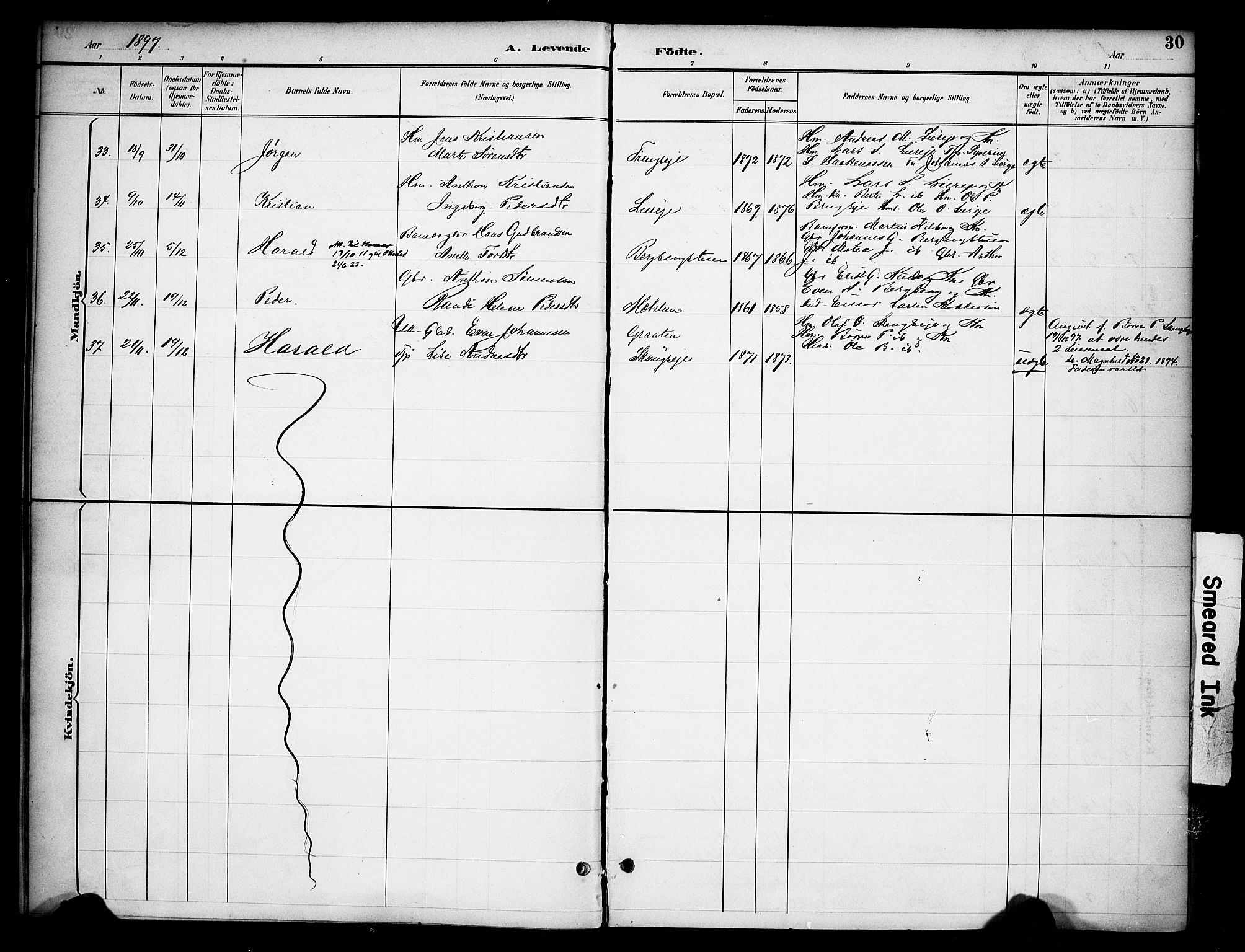 Ringsaker prestekontor, AV/SAH-PREST-014/K/Ka/L0015: Parish register (official) no. 15, 1891-1904, p. 30