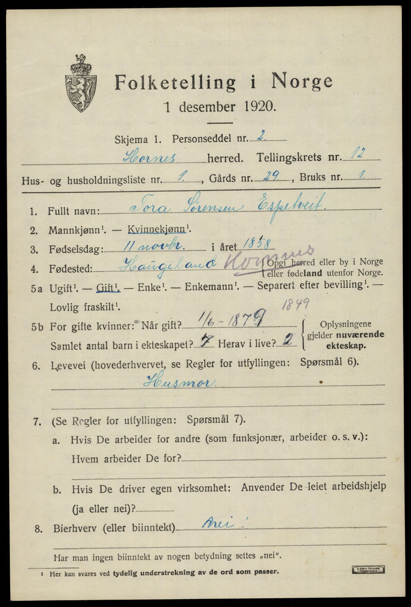 SAK, 1920 census for Hornnes, 1920, p. 2879