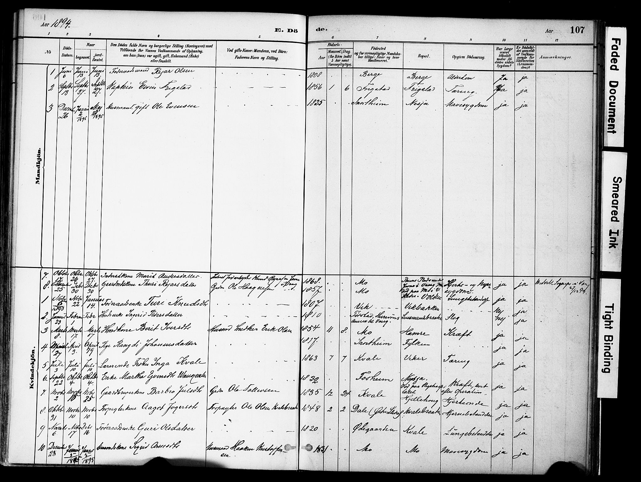 Vestre Slidre prestekontor, SAH/PREST-136/H/Ha/Haa/L0004: Parish register (official) no. 4, 1881-1911, p. 107