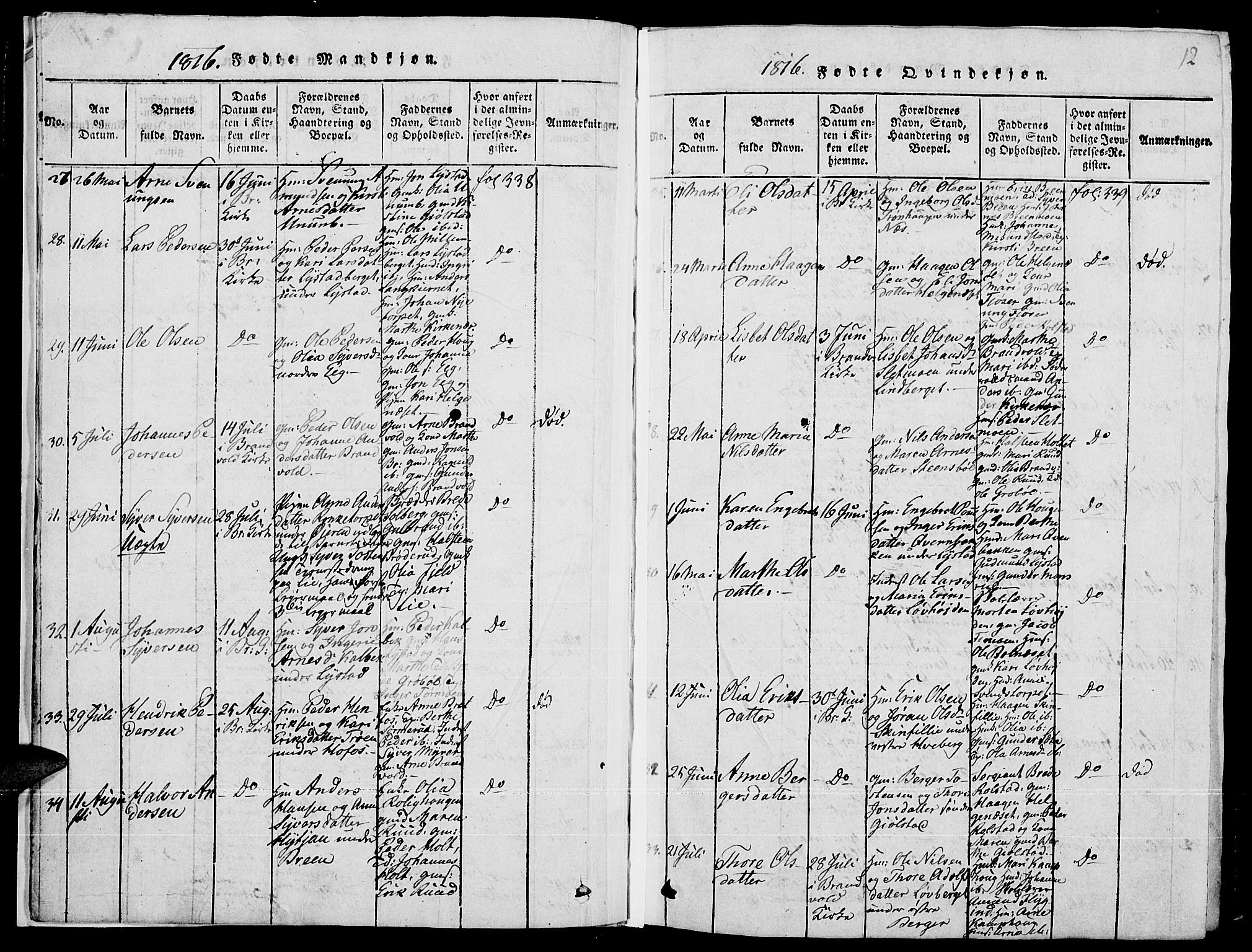 Grue prestekontor, AV/SAH-PREST-036/H/Ha/Hab/L0001: Parish register (copy) no. 1, 1814-1841, p. 12
