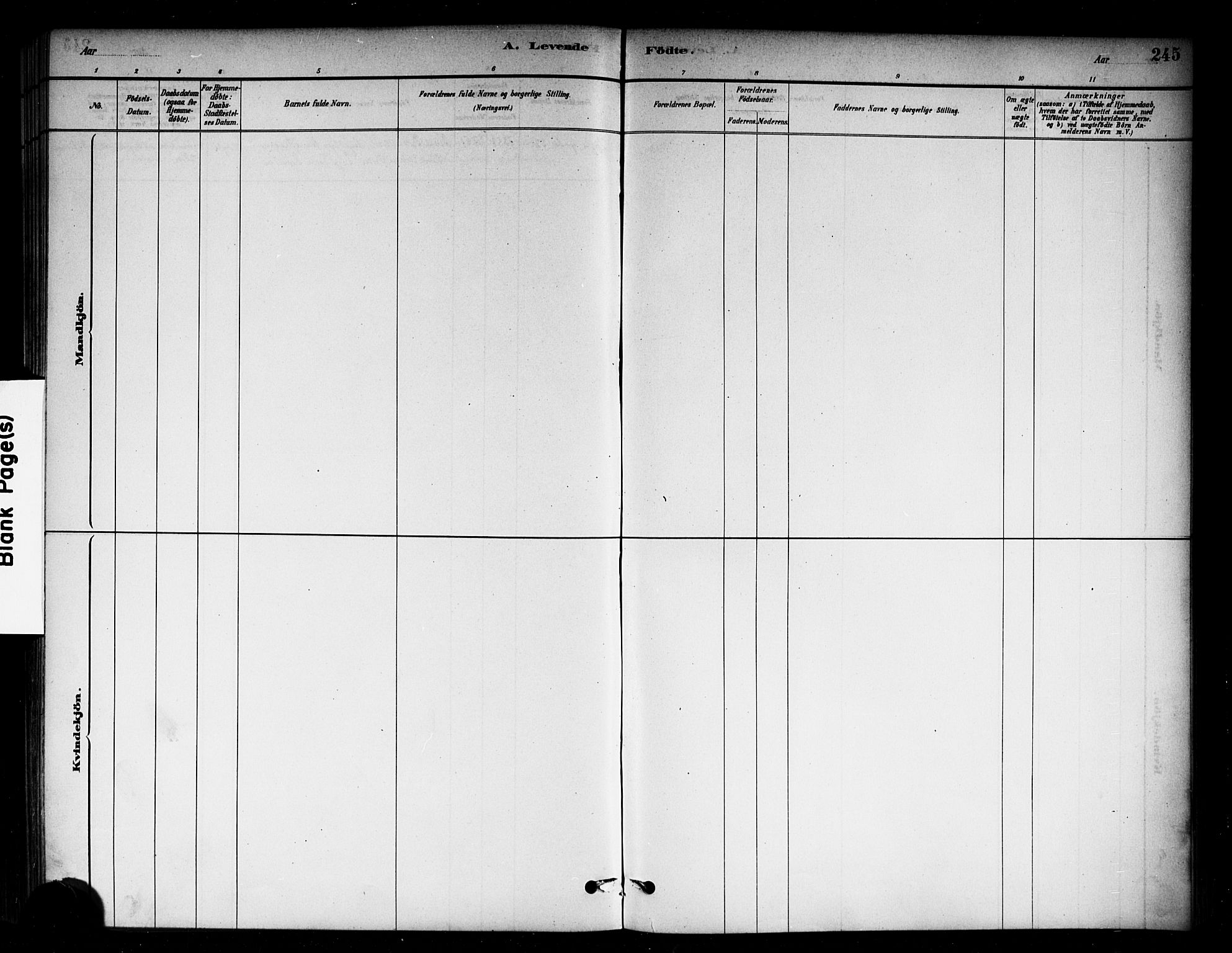 Sagene prestekontor Kirkebøker, SAO/A-10796/G/L0001: Parish register (copy) no. 1, 1880-1891, p. 245