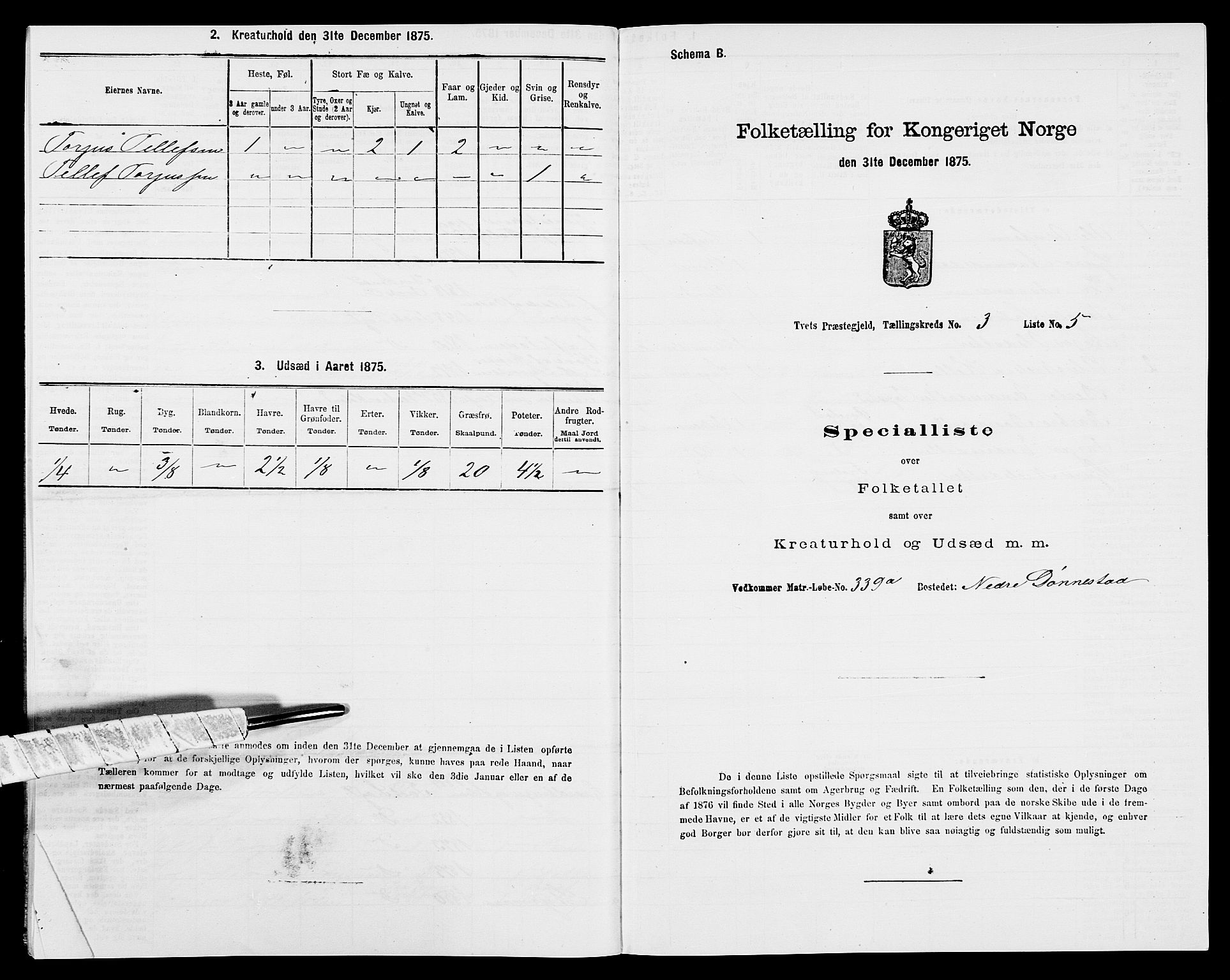 SAK, 1875 census for 1013P Tveit, 1875, p. 323