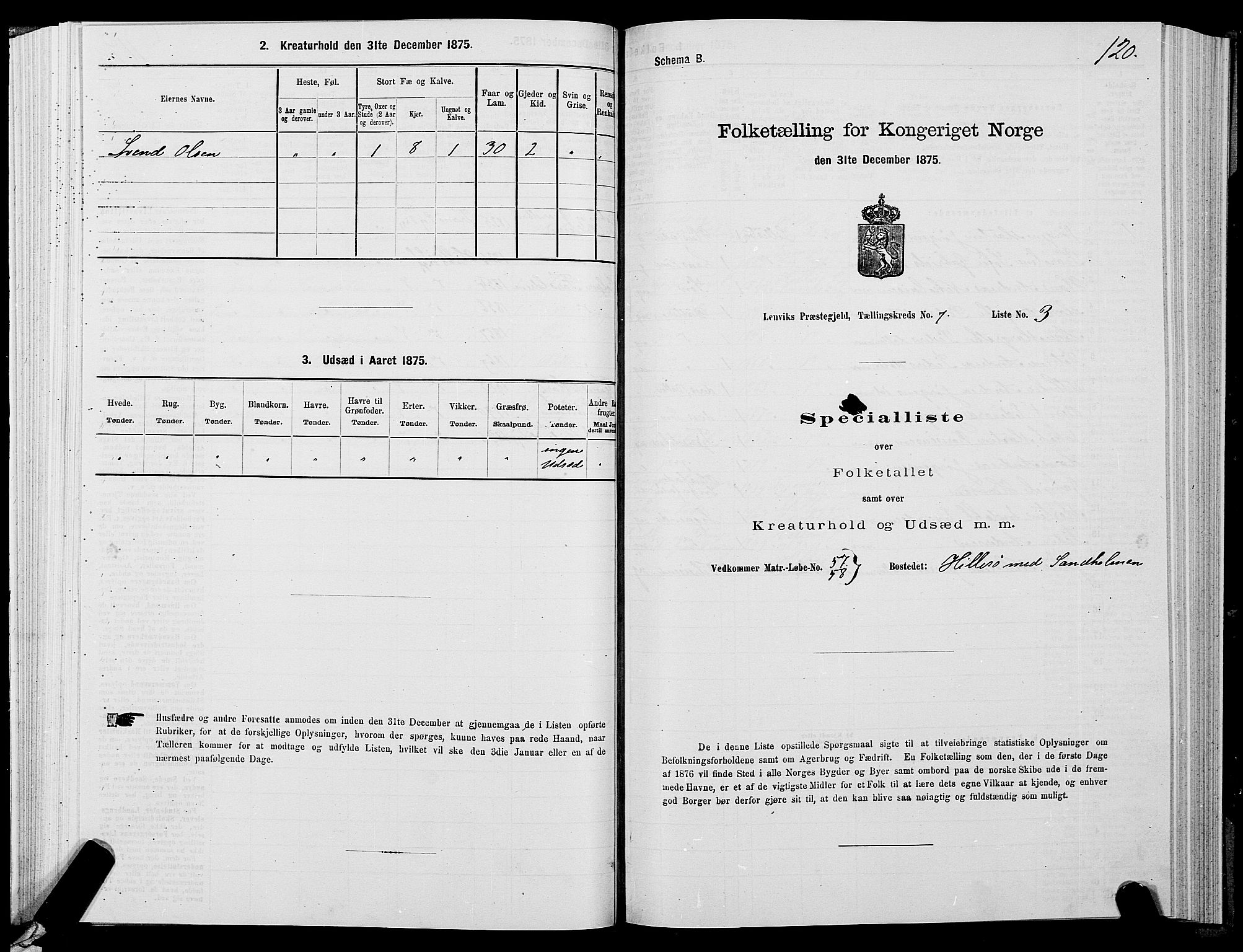 SATØ, 1875 census for 1931P Lenvik, 1875, p. 4120