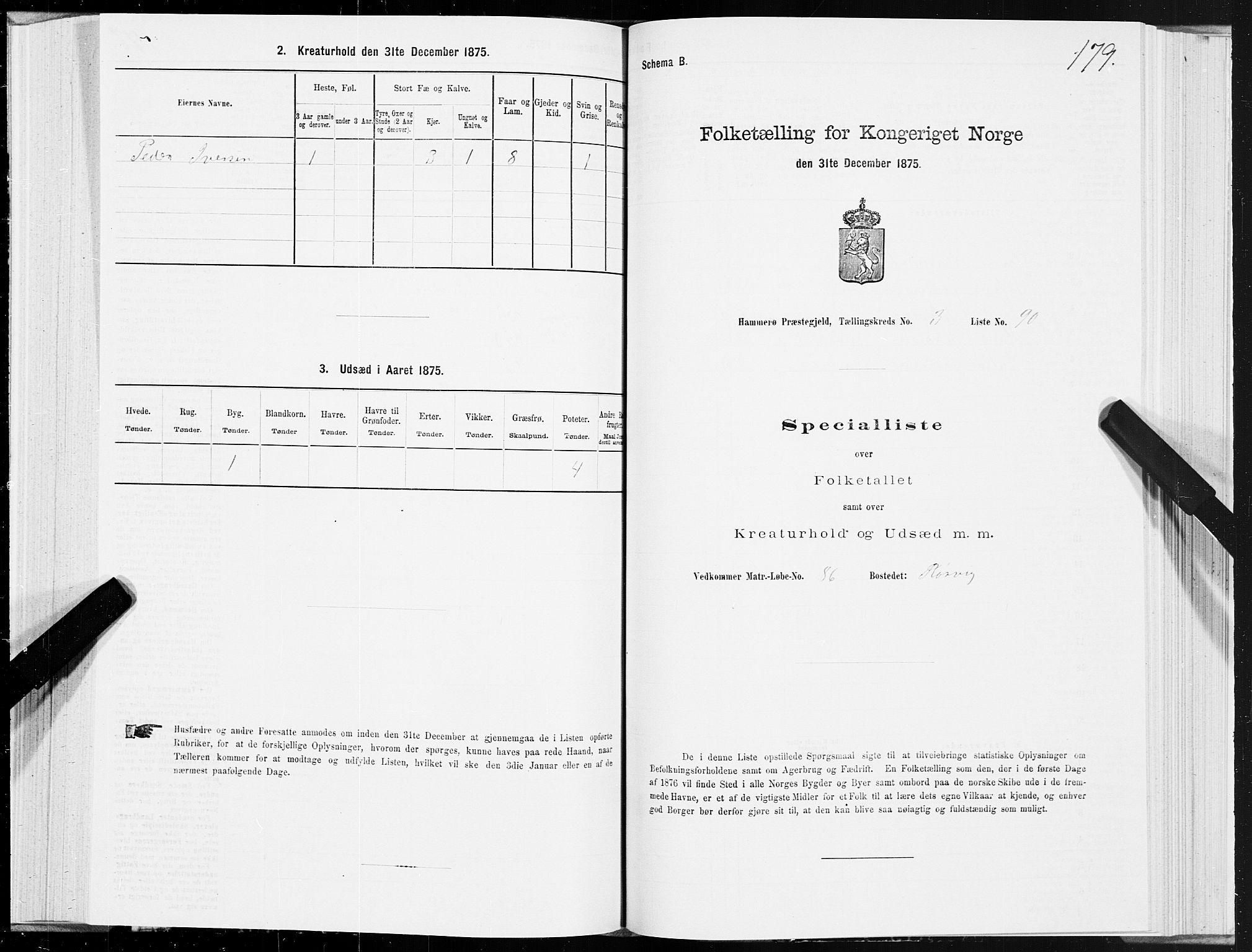 SAT, 1875 census for 1849P Hamarøy, 1875, p. 2179