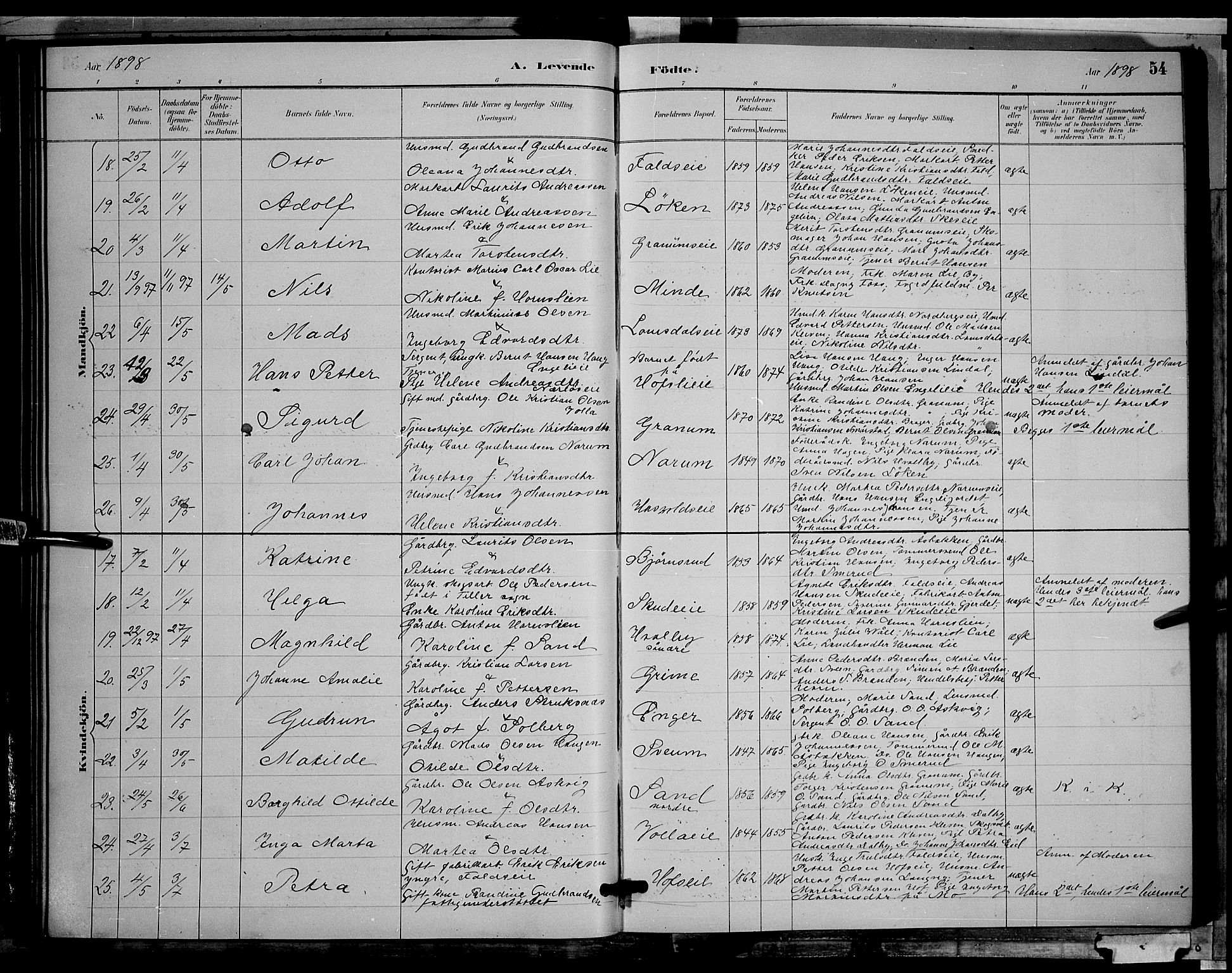 Søndre Land prestekontor, SAH/PREST-122/L/L0002: Parish register (copy) no. 2, 1884-1900, p. 54