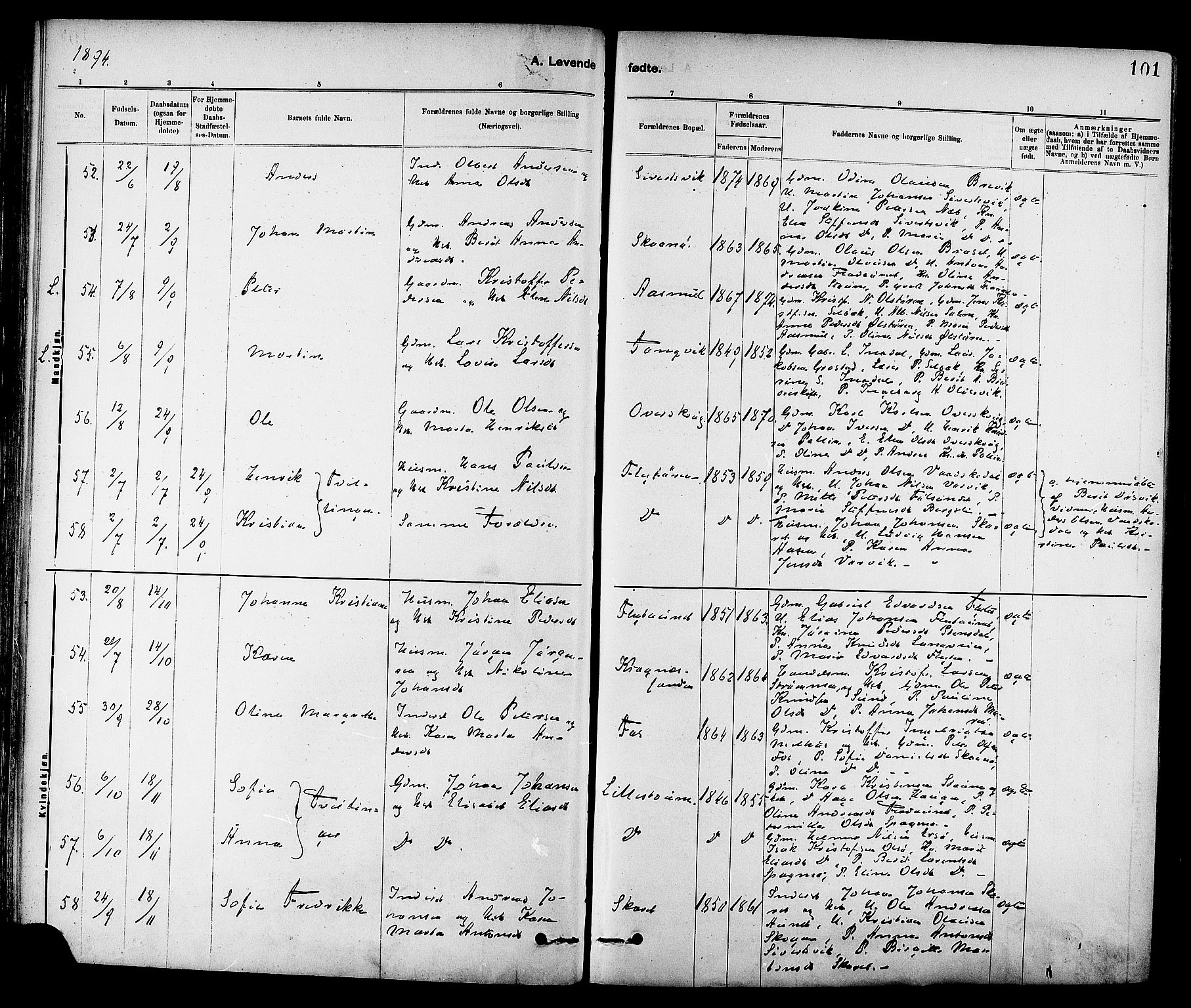 Ministerialprotokoller, klokkerbøker og fødselsregistre - Sør-Trøndelag, AV/SAT-A-1456/647/L0634: Parish register (official) no. 647A01, 1885-1896, p. 101