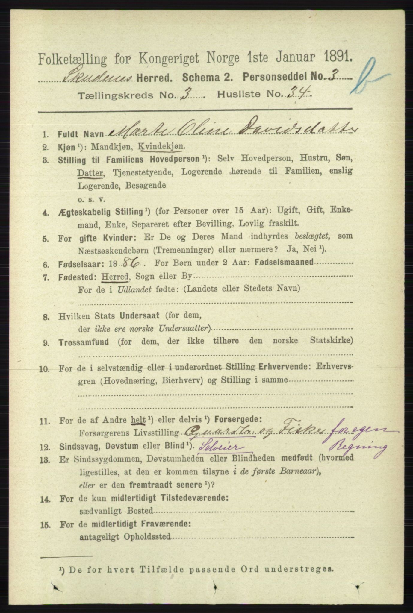 RA, 1891 census for 1150 Skudenes, 1891, p. 4176