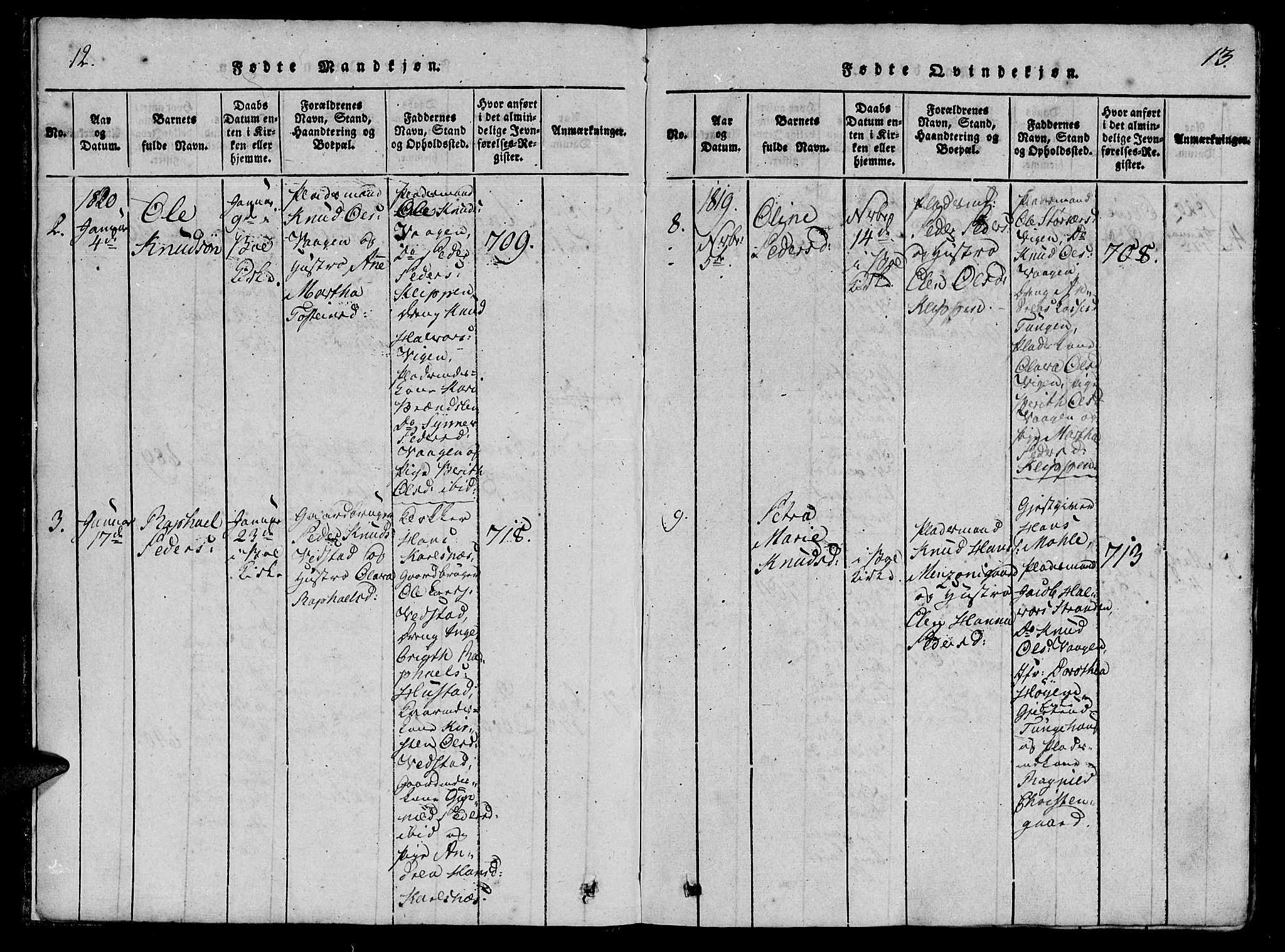 Ministerialprotokoller, klokkerbøker og fødselsregistre - Møre og Romsdal, AV/SAT-A-1454/566/L0763: Parish register (official) no. 566A03 /1, 1817-1829, p. 12-13