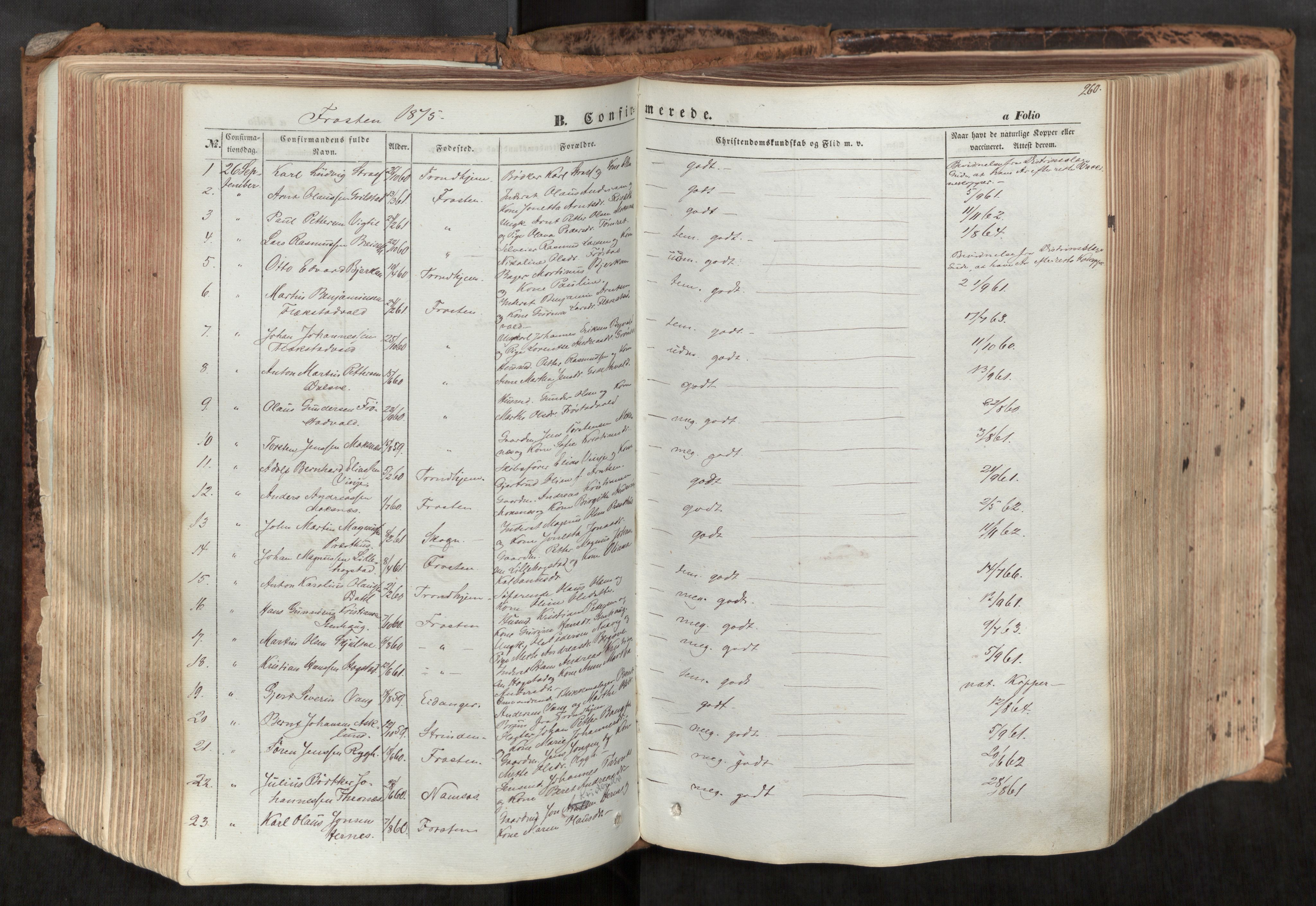 Ministerialprotokoller, klokkerbøker og fødselsregistre - Nord-Trøndelag, SAT/A-1458/713/L0116: Parish register (official) no. 713A07, 1850-1877, p. 260