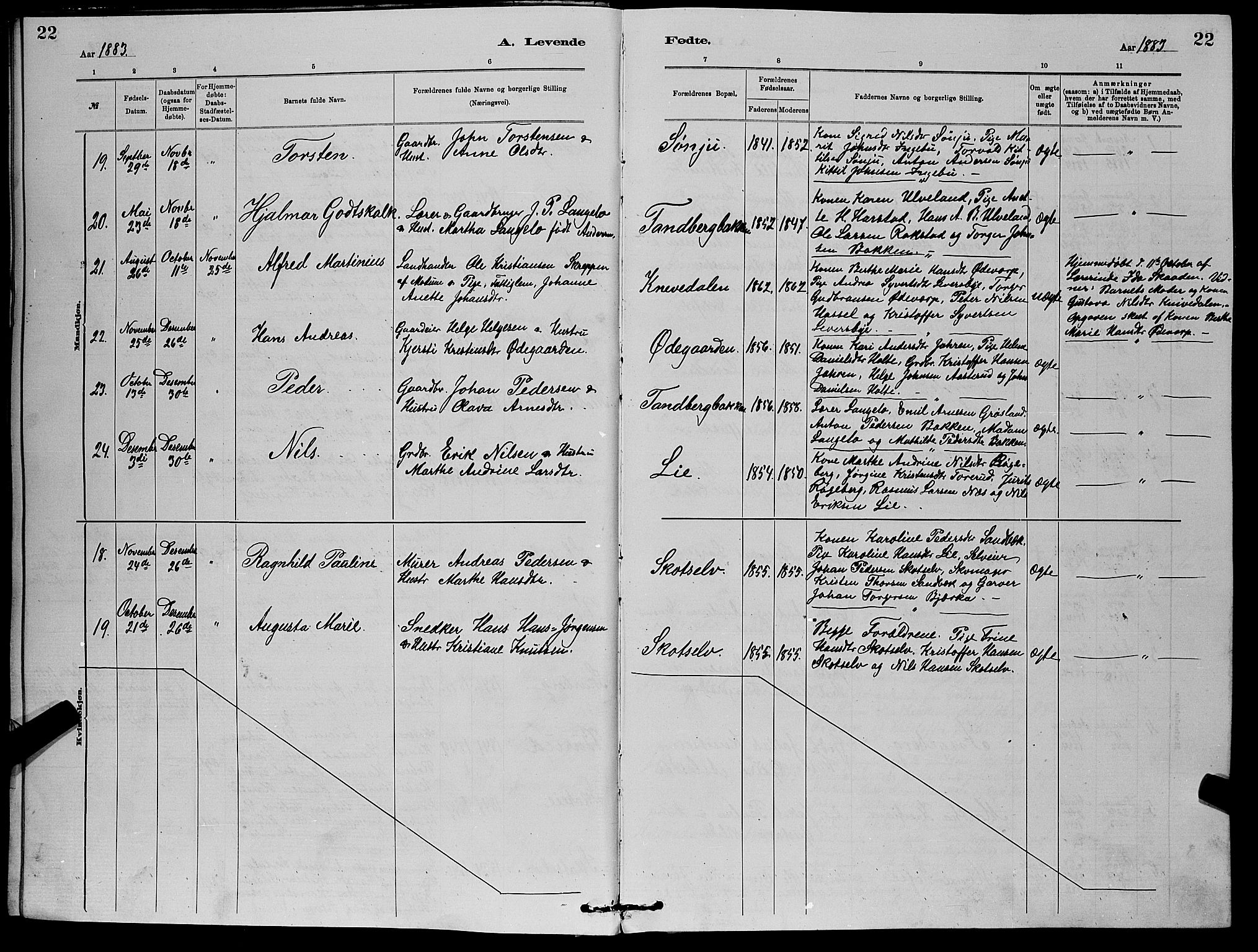 Eiker kirkebøker, AV/SAKO-A-4/G/Gb/L0003: Parish register (copy) no. II 3, 1880-1893, p. 22