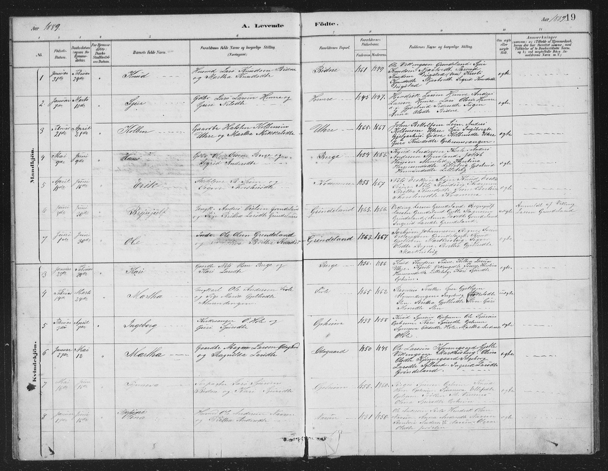 Vossestrand Sokneprestembete, AV/SAB-A-79101/H/Hab: Parish register (copy) no. A 2, 1880-1902, p. 19