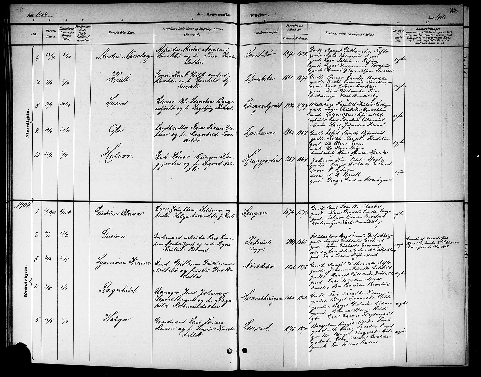 Nore kirkebøker, SAKO/A-238/G/Gb/L0003: Parish register (copy) no. II 3, 1894-1923, p. 38